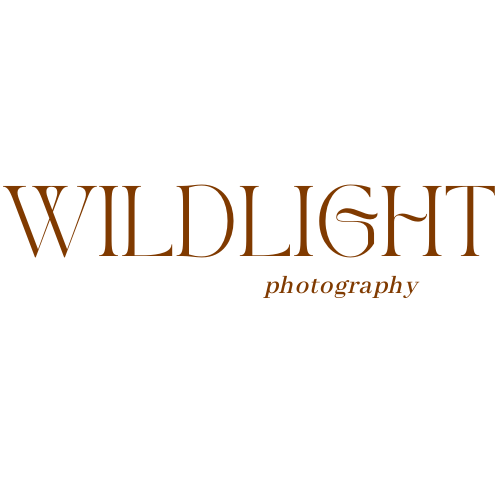 Wildlight Photography