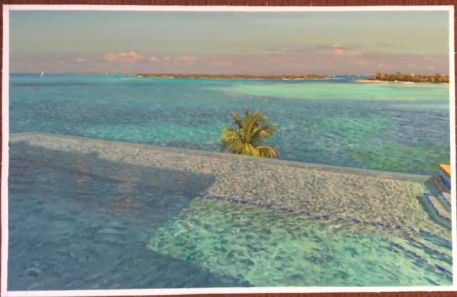 FROM THE INFINITY POOL MANGO MANSION GREEN TURTLE CAY $4,000 - RETT STURMAN