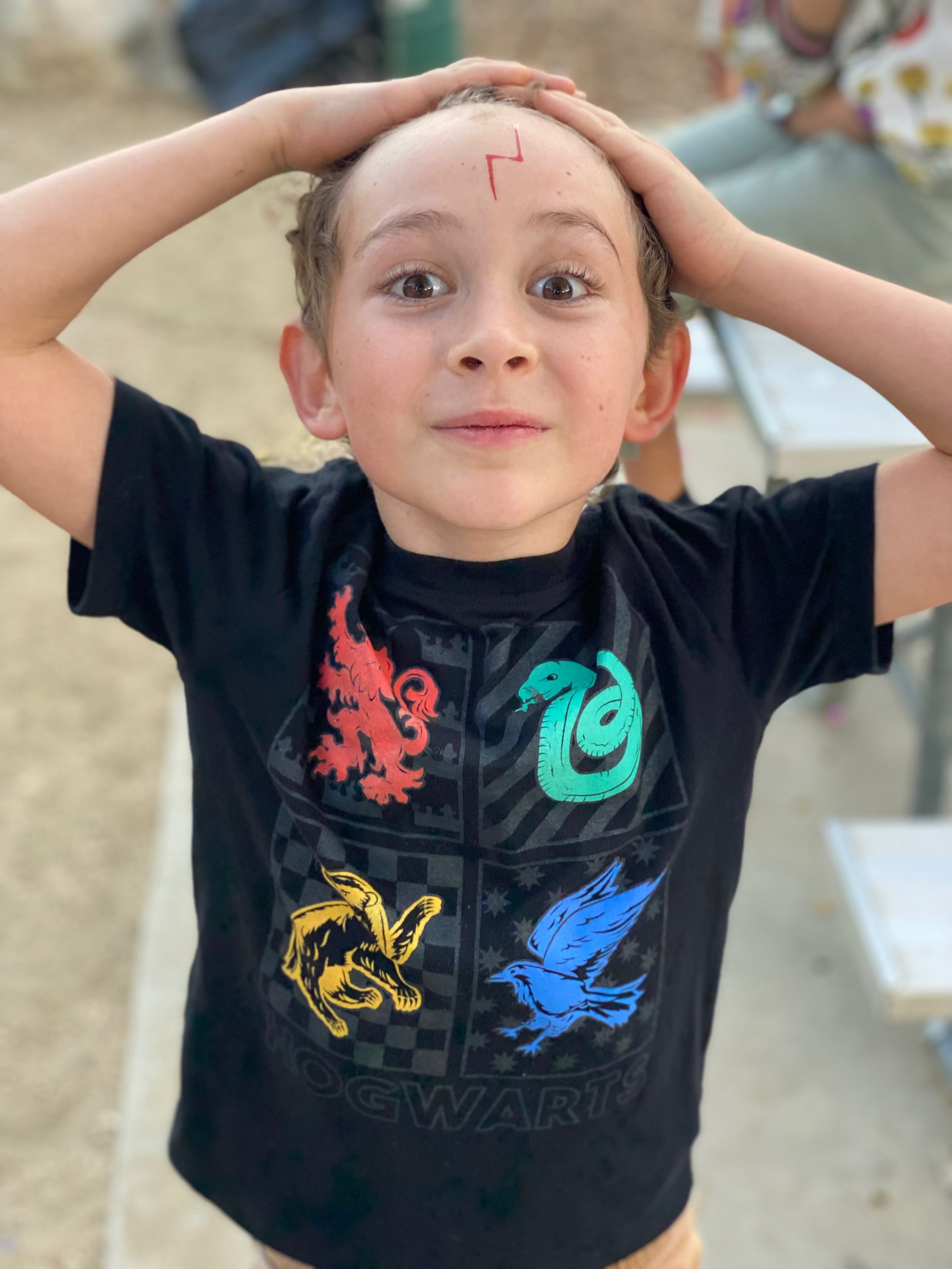 My Harry Potter themed 8th Birthday