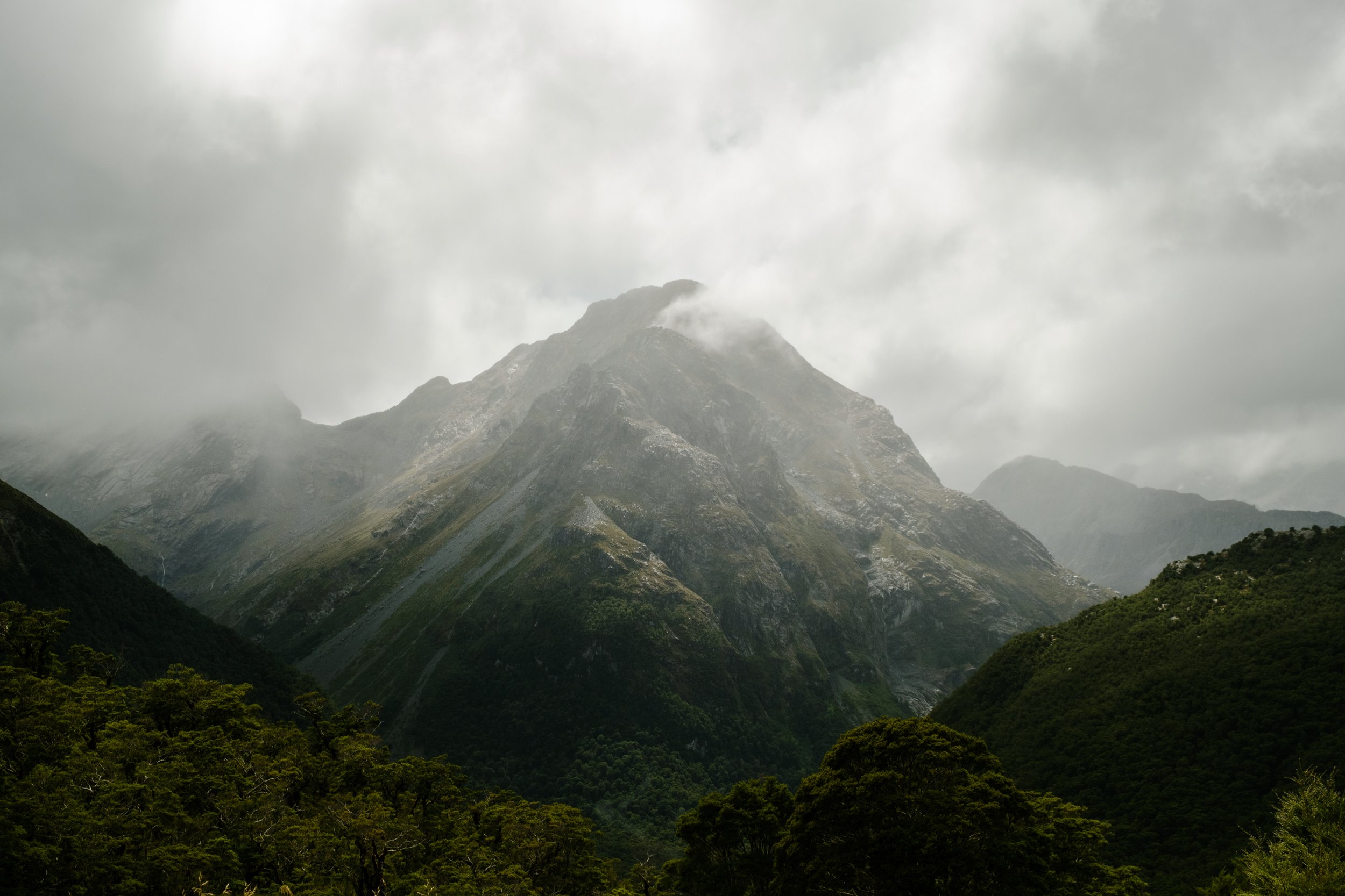 DSCF1390.jpg