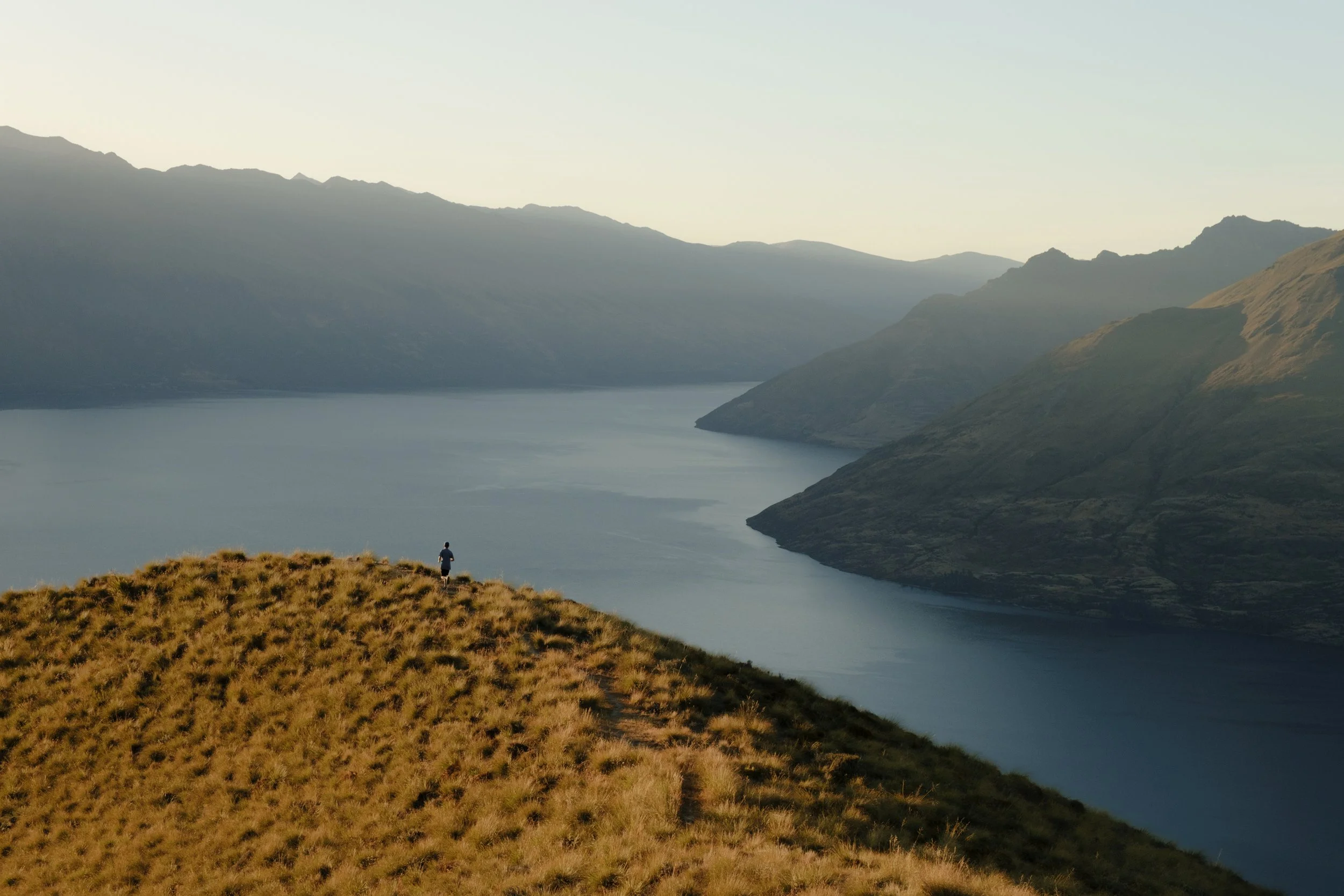 nz22.jpg
