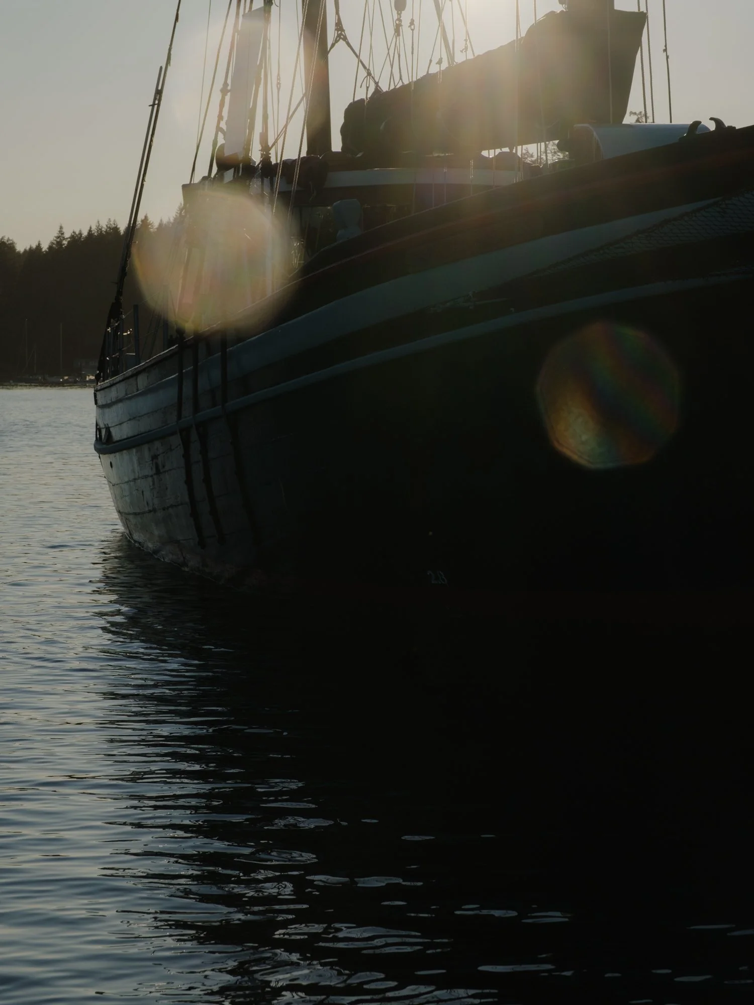 FUJI5921.jpg