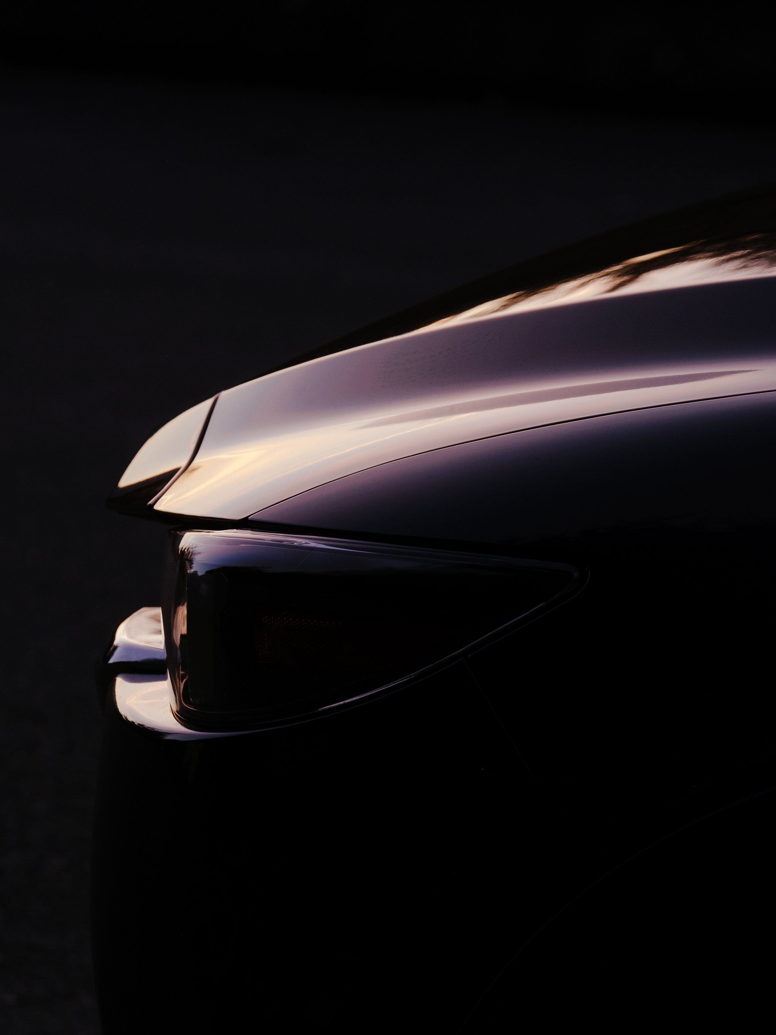 FUJI3287.jpg