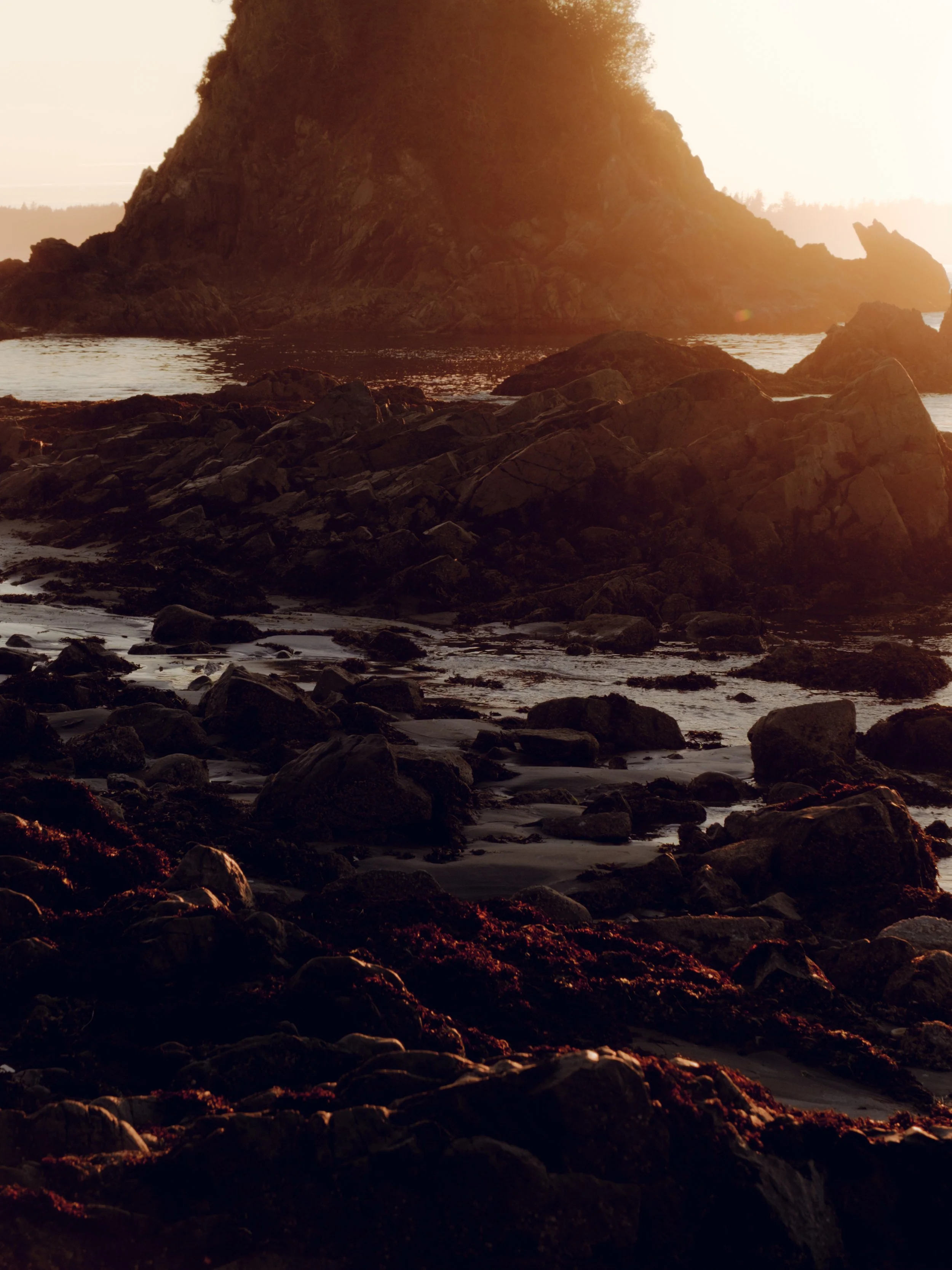 DSCF8556-2.jpg