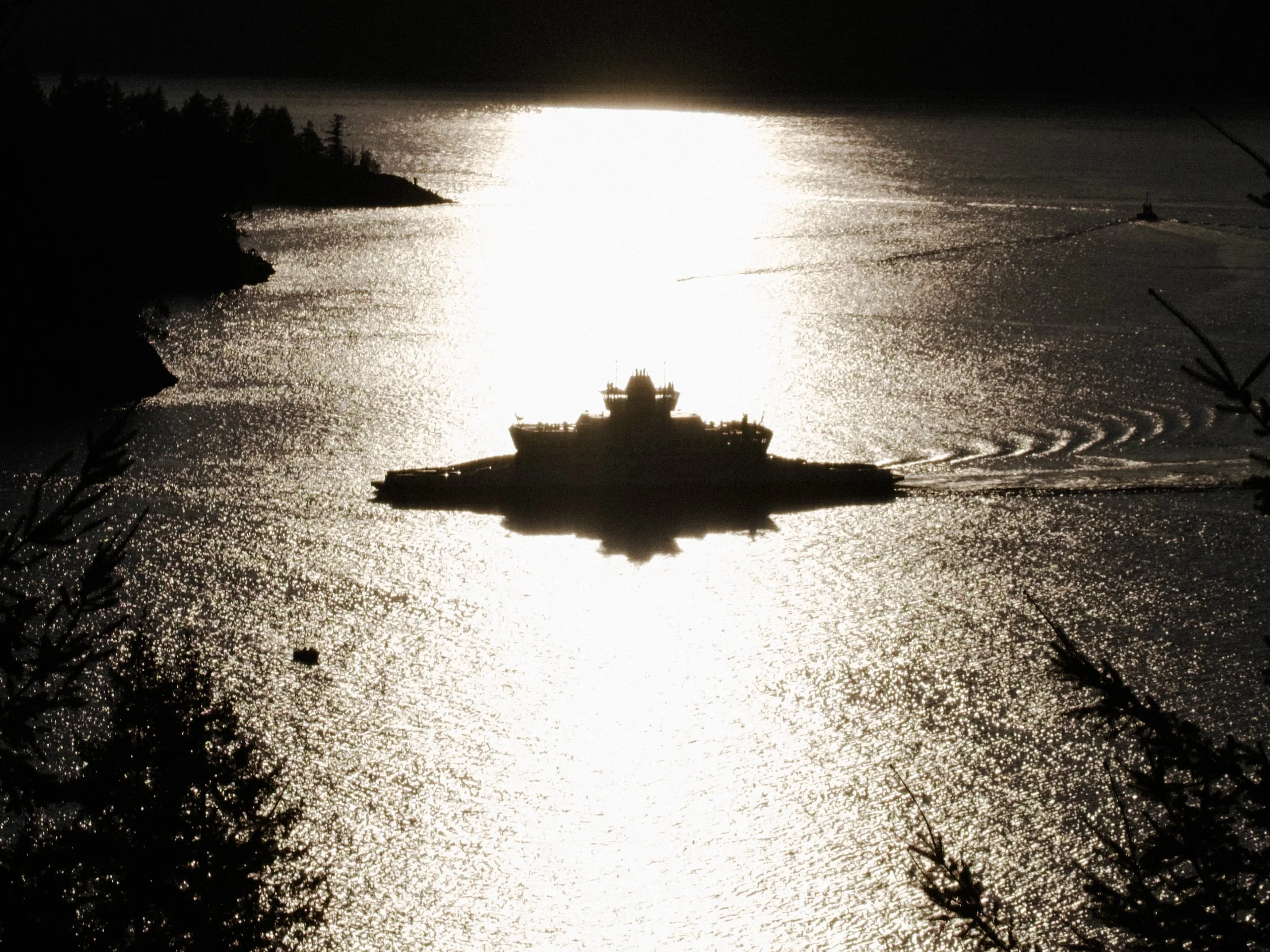 FUJI2024.jpg
