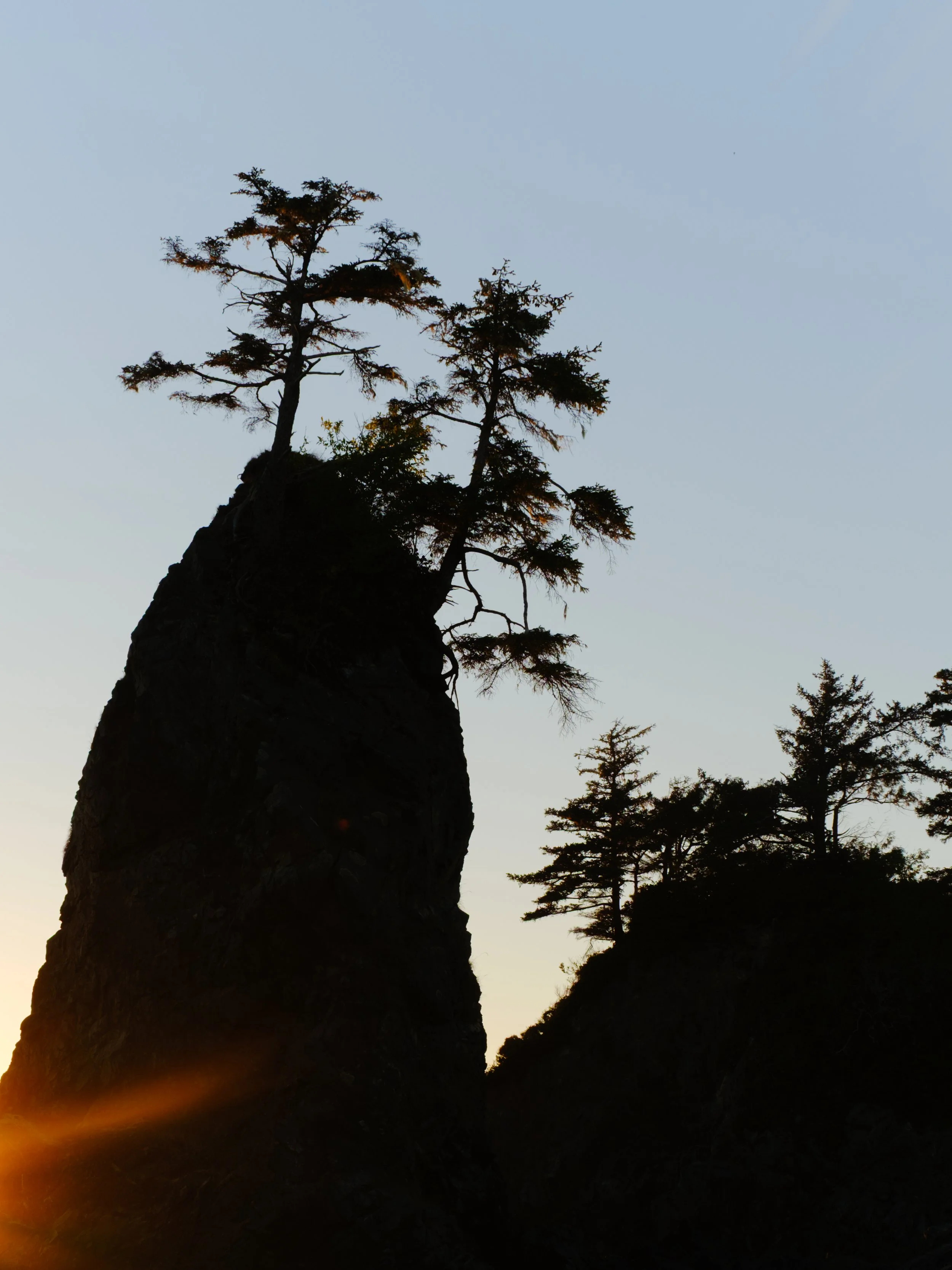 DSCF8630-2.jpg