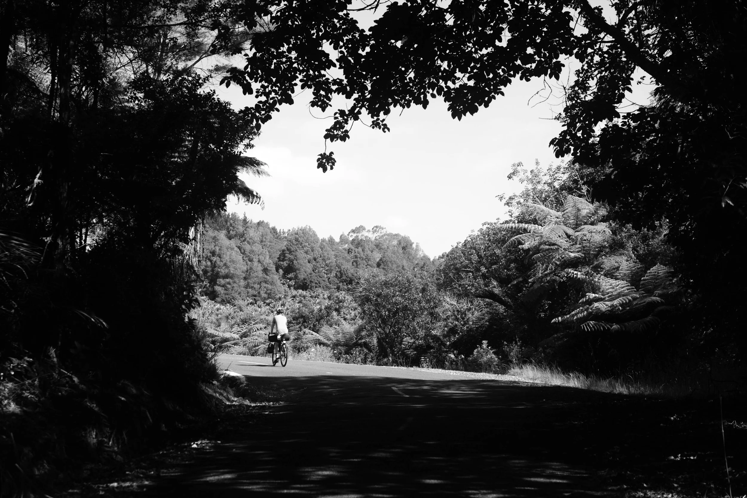 DSCF2574.jpg