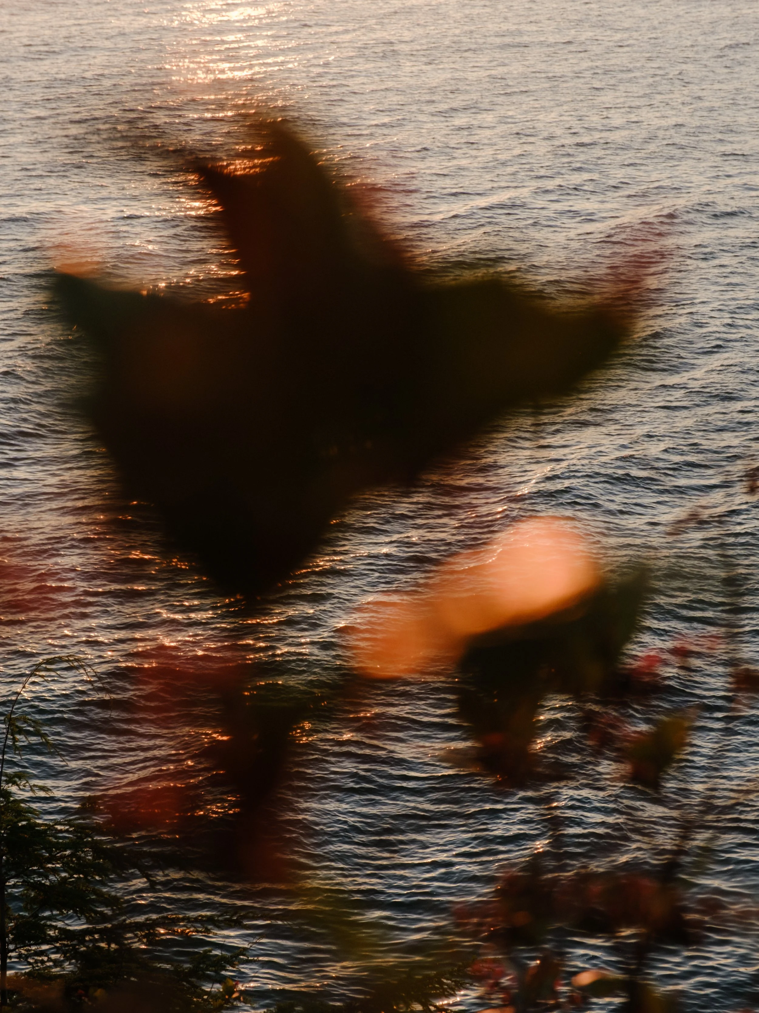 DSCF1585-2.jpg