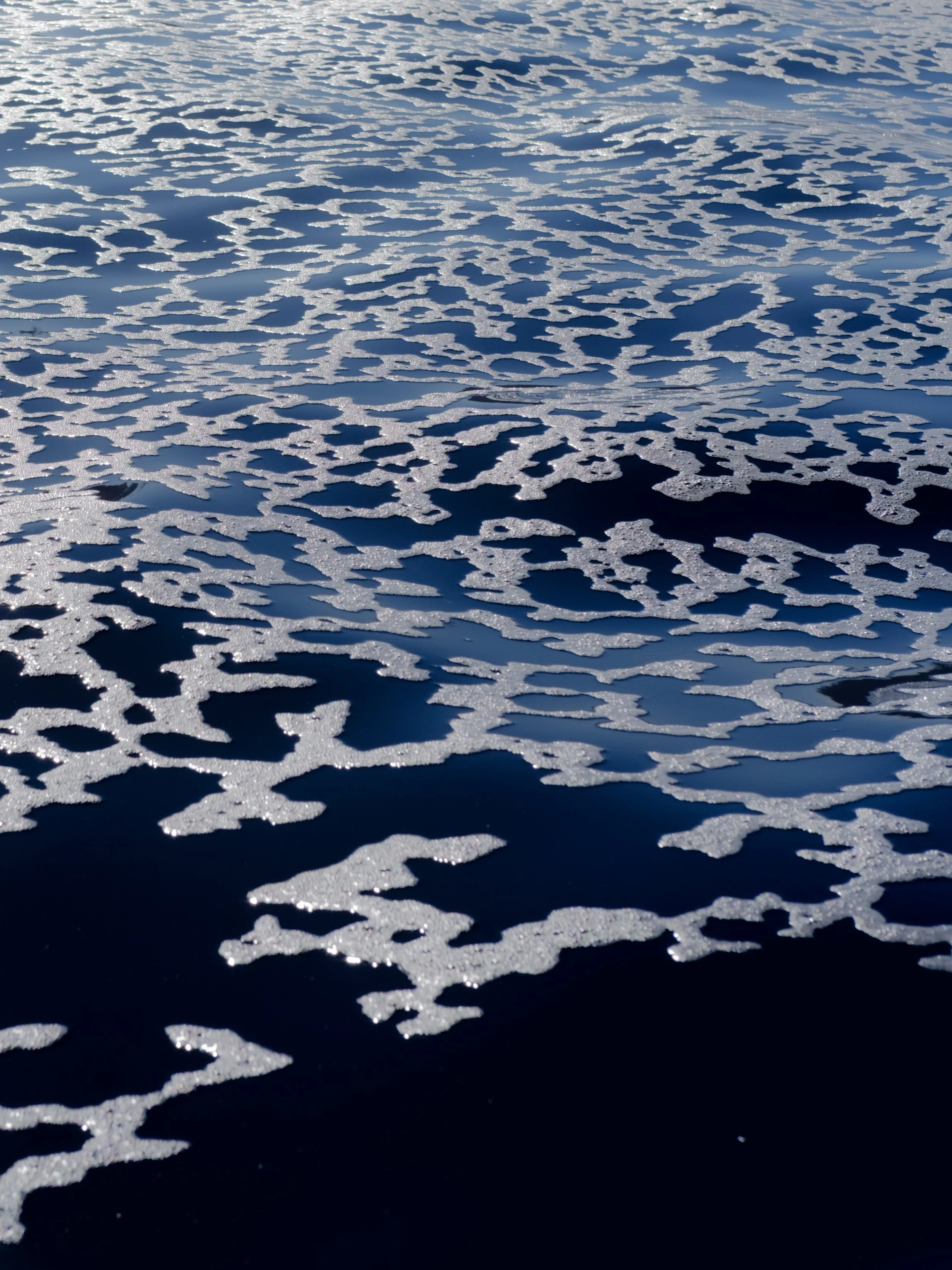 DSCF1956-2.jpg
