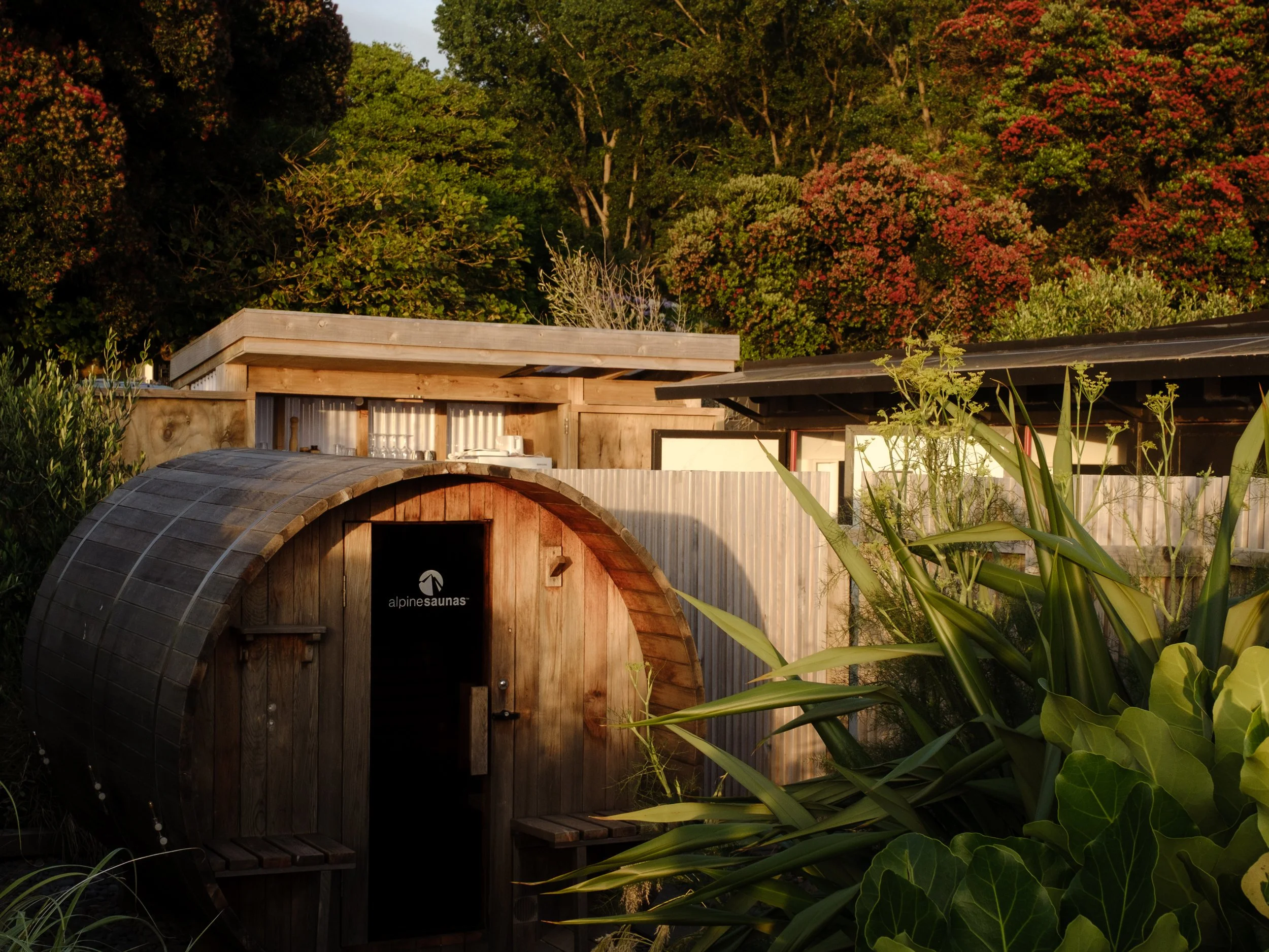 DSCF7492-2.jpg