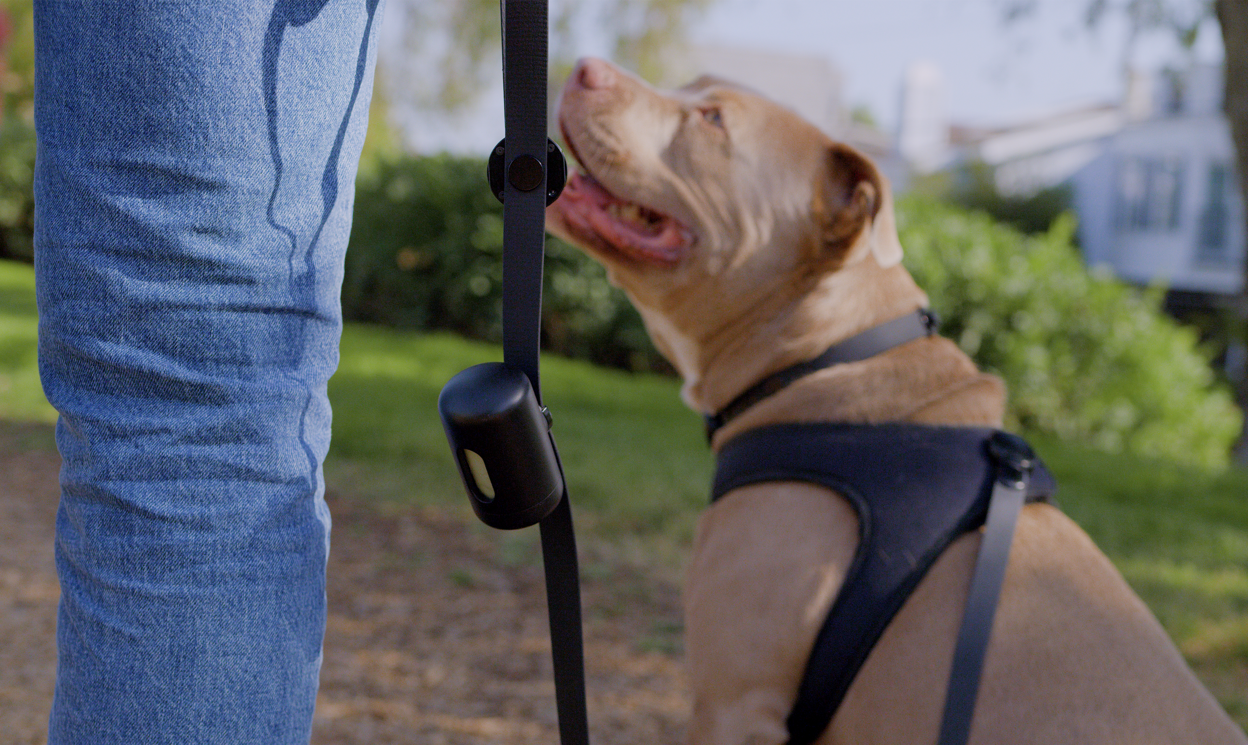 Screenshot 2025-11-19 at 3.24.14 PM.png