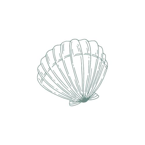 Ocean Strand Jewelry