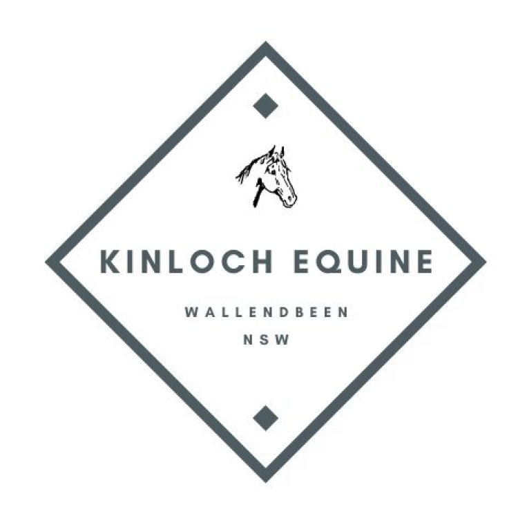 Kinloch Equine