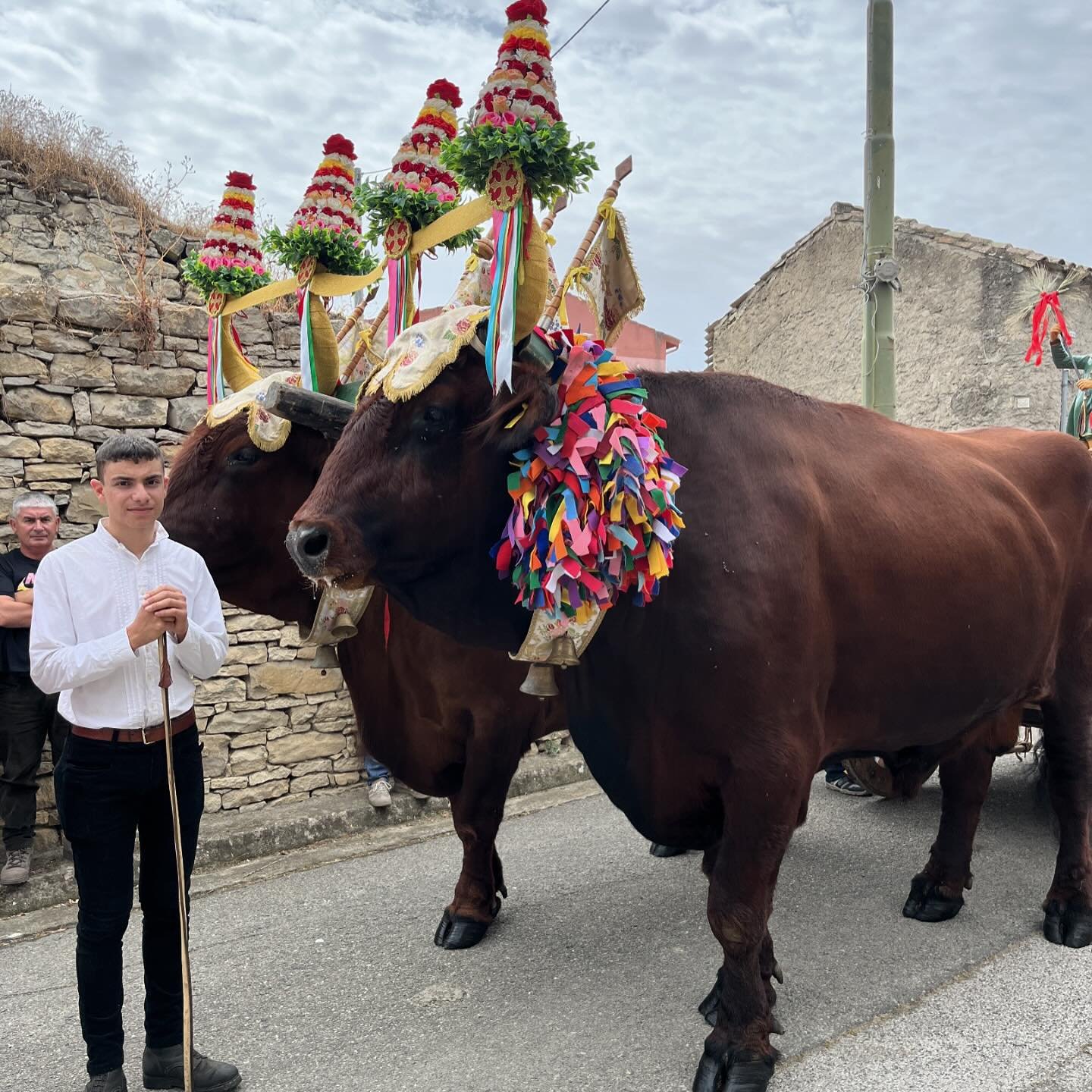 Processions, oxen and an Almond Festival plus Sardinian textiles from the Casa Museo in Pabillonis, a small agricultural town in south - my last day in Sardegna! The people are peaceful, hard working and generous. They love their communities and cult