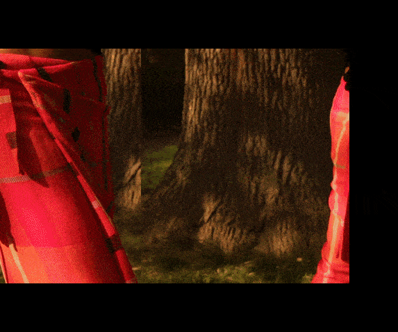 ezgif.com-gif-maker (6).gif