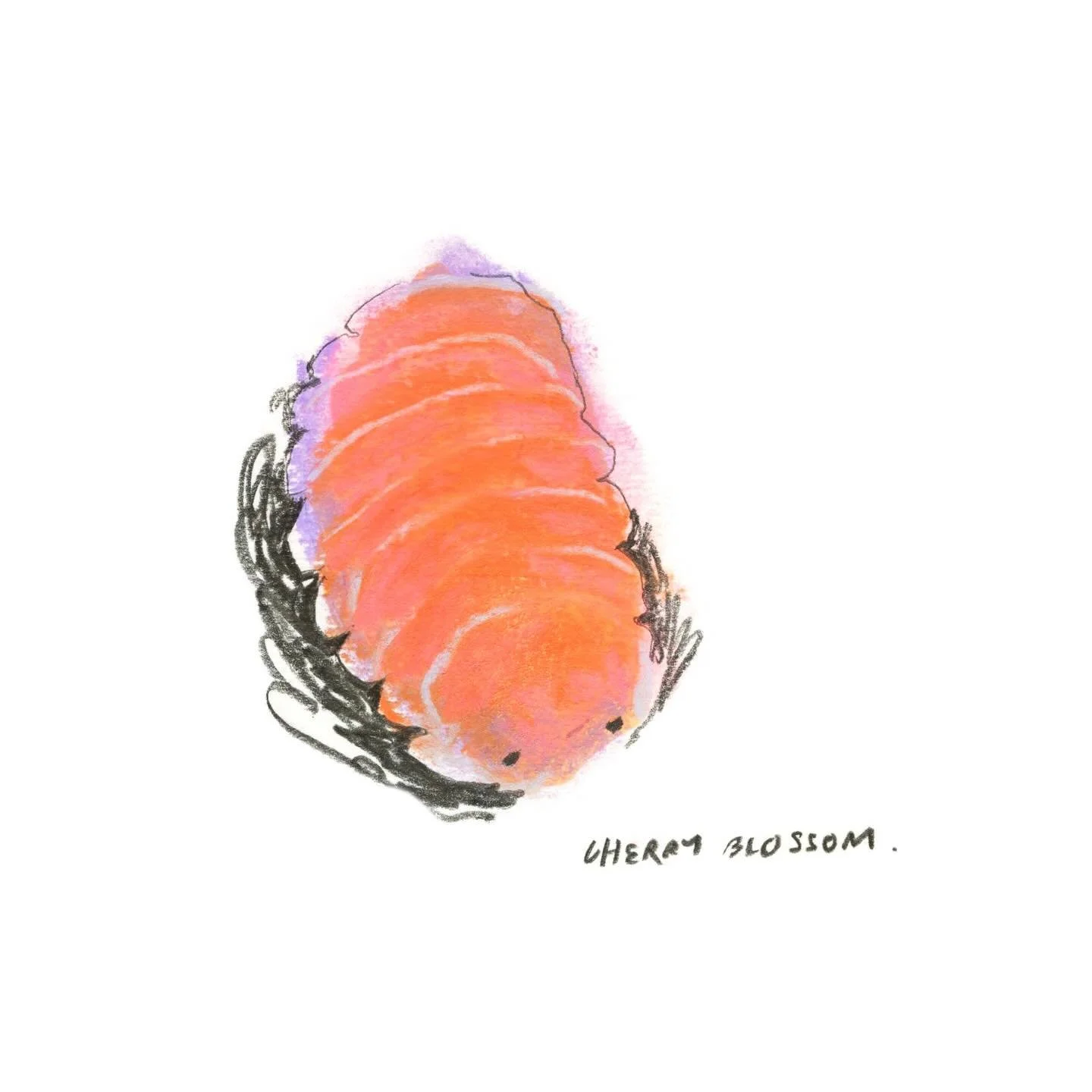 Teeny Tiny isopods - or woodlice to you and me! 🪳they have such fun colours and patterns! 

@luddingtoncreative  #luddingtoncreative #luddingtoncrew #kidlit #kidlitillustrator #kidlitillustrations #kidlitartists #picturebookillustration #picturebook