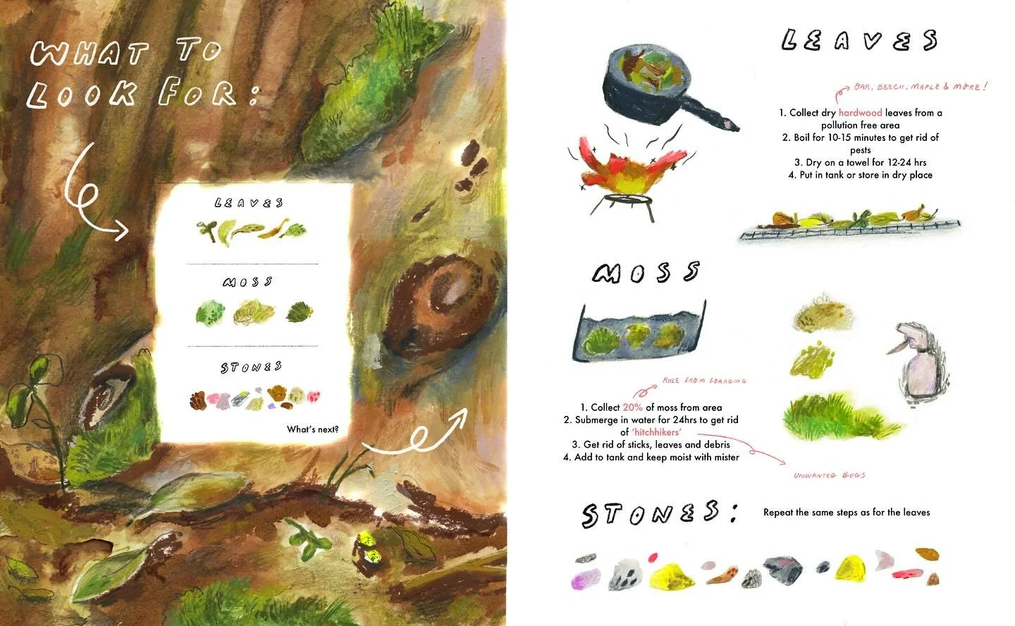 So my partner is into minibeasts - ants, isopods, small reptiles and more&hellip; soooo guess what kind of non fiction project is in my mind - more coming soon! 

@luddingtoncreative  #luddingtoncreative #luddingtoncrew #kidlit #kidlitillustrator #ki