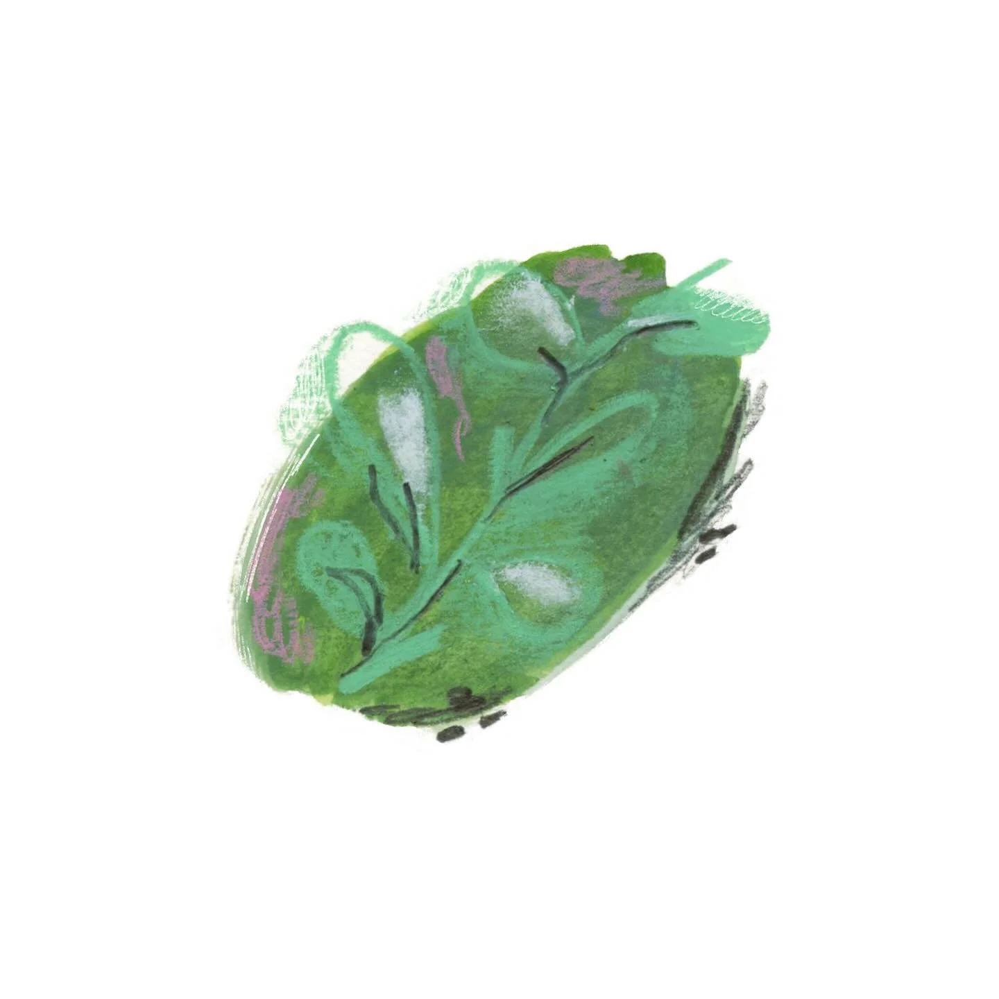 A wee leaf 🍃 

@luddingtoncreative  #luddingtoncreative #luddingtoncrew #kidlit #kidlitillustrator #kidlitillustrations #kidlitartists #picturebookillustration #picturebooks #picturebookart #picturebookillustrator #childrensbook #childrensillustrato