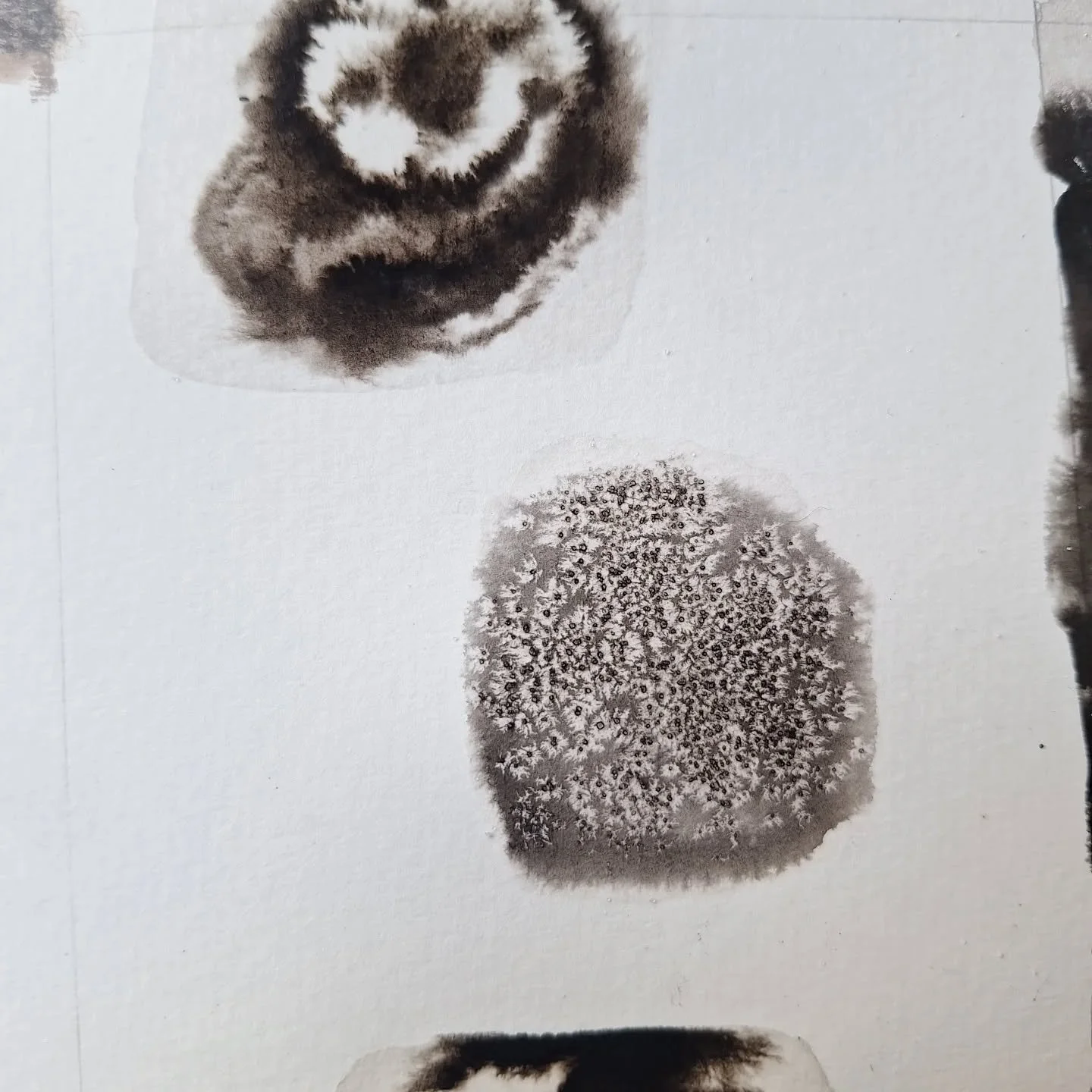 Whats your favourite medium? Ive never really gotten on with ink but i loveeed experimenting with fossils in ink the other day - you can see how they all turned out on my website! (Link in bio!) 

#chapterbookillustration #luddingtoncreative #kidlita