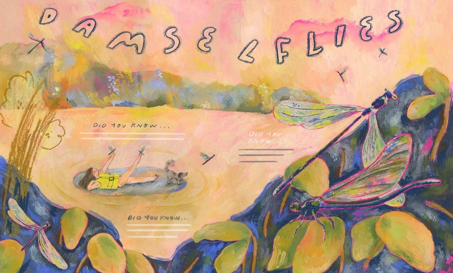 Totally forgot to post this full spread... DAMSLEFLIES - prospective non fiction spread on all things damsleflies - are you like me and you always got mixed up between damsleflies and dragonflies? 🦋