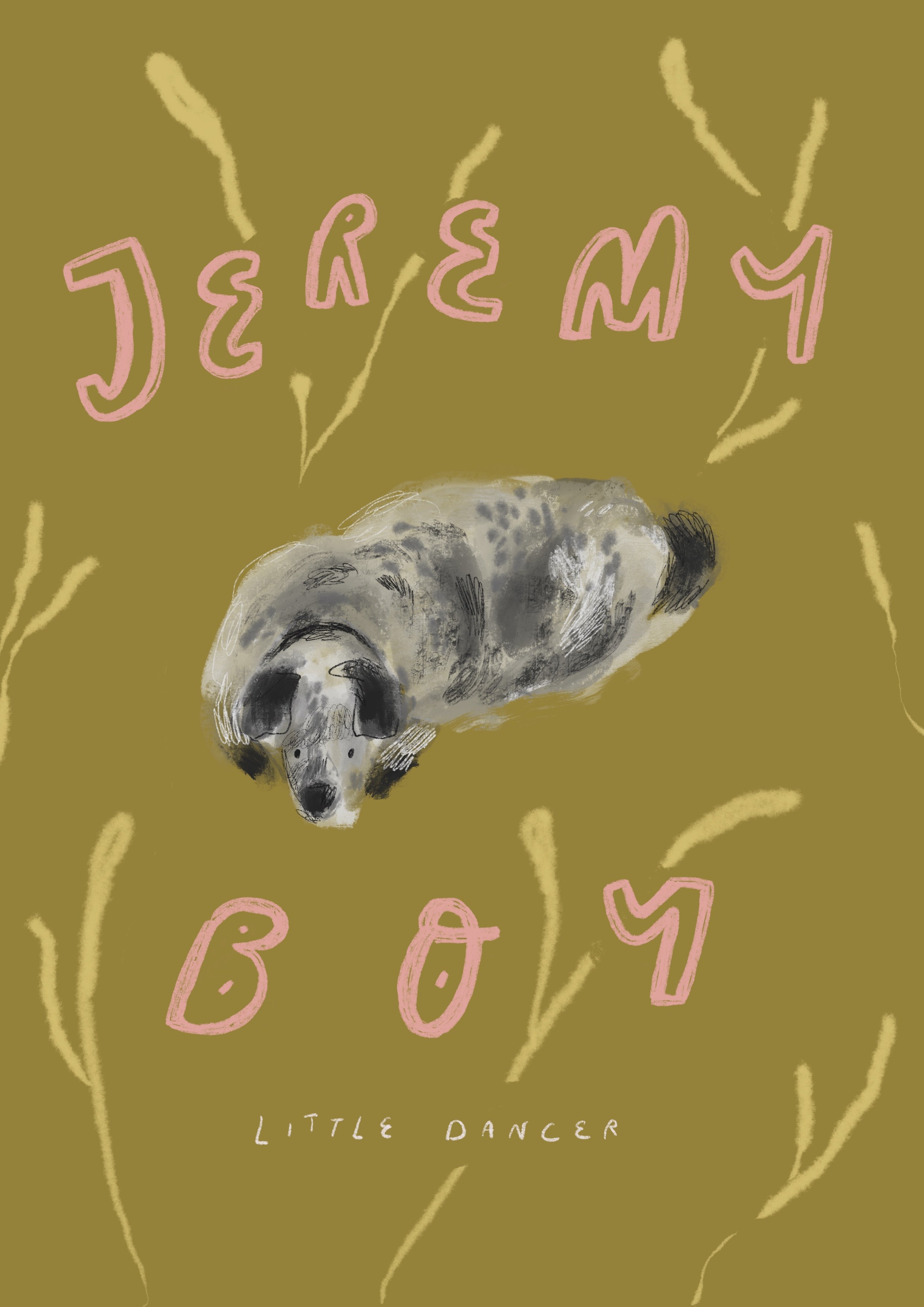 Jeremy - Androw animal shelter