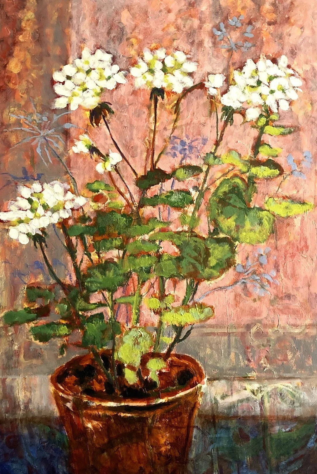 White geranium - sold