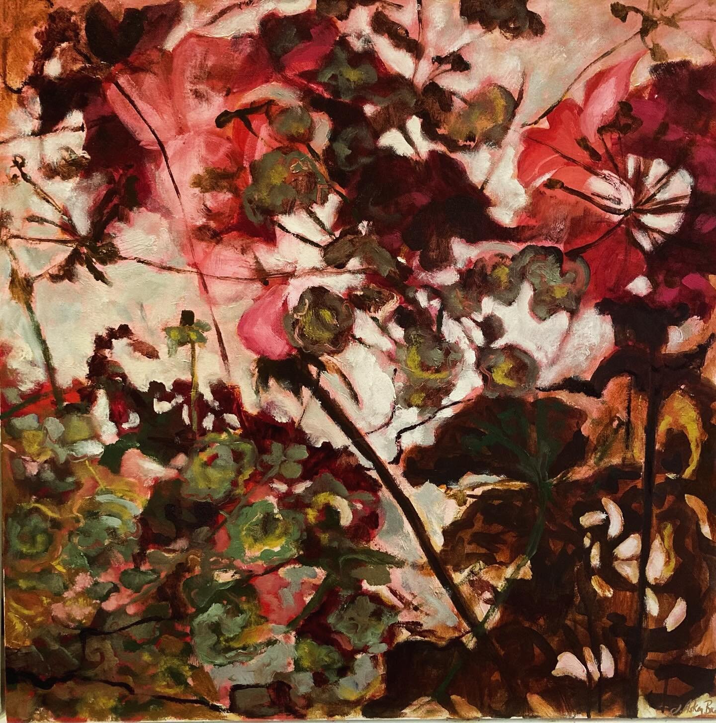 Gardening days getting last years geraniums out from storage, loved the colours the mix of new growth, old paper thin leaves, dried flowers and a tangle of stems. Just had to paint them, sometimes the unplanned paintings are the best. 
80 x 80cm oil 