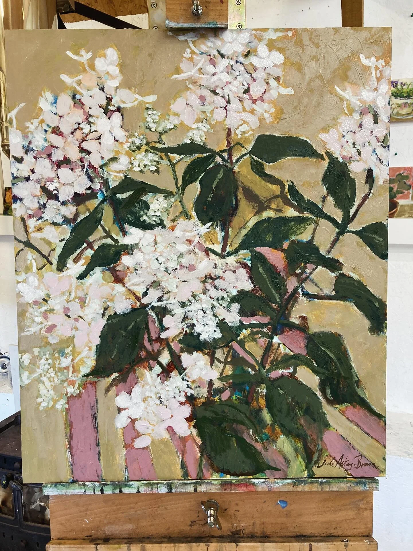 Hydrangea Paniculata in the studio today 
#judeaskeybrown #hydrangea #oilpainting #kentartist