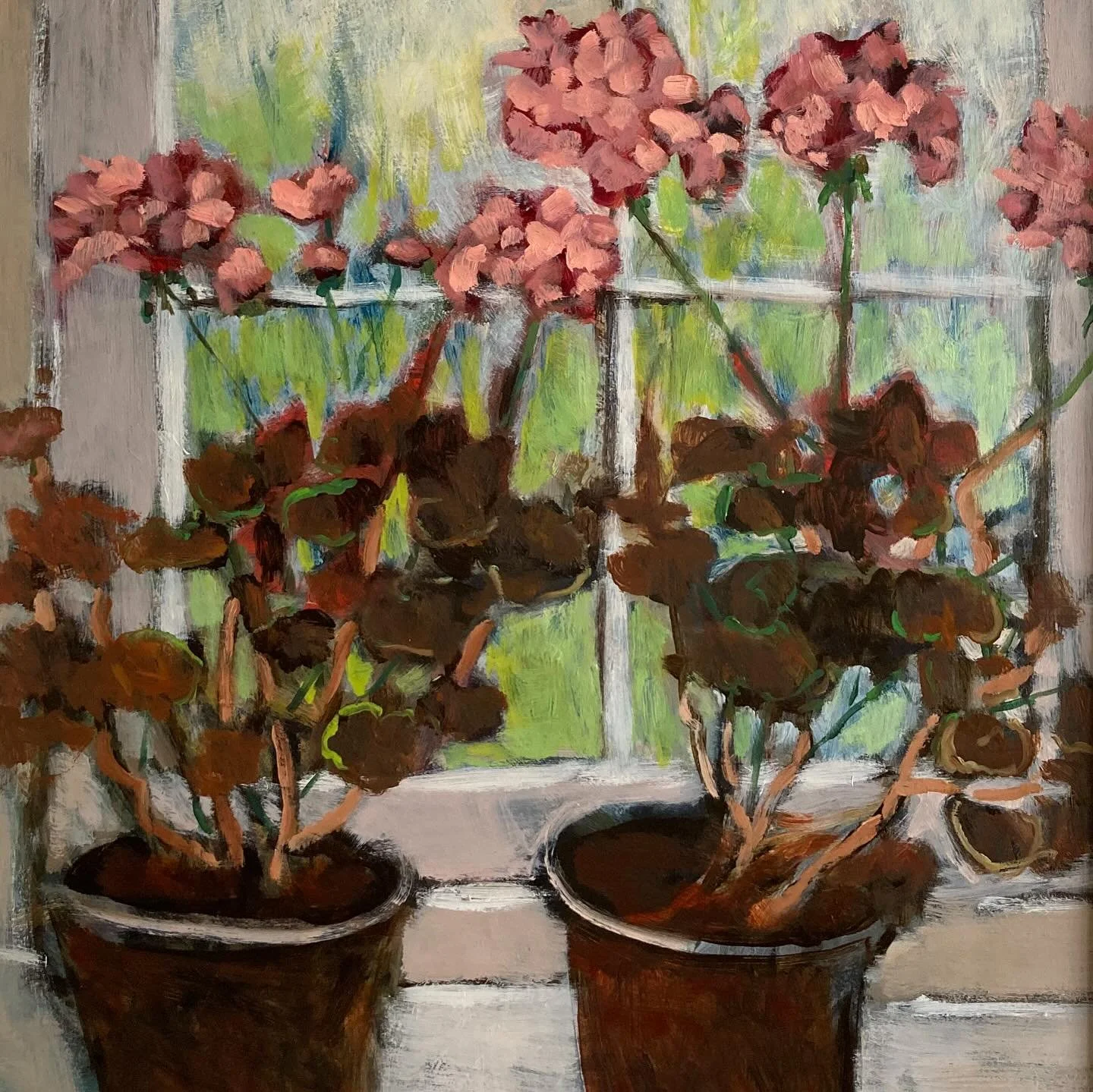 Autumn 🍂 time to bring in my geraniums to find a sunny windowsill which is my favourite place to paint them. They often flower right through the winter with a little watering now and again.
#judeaskeybrown