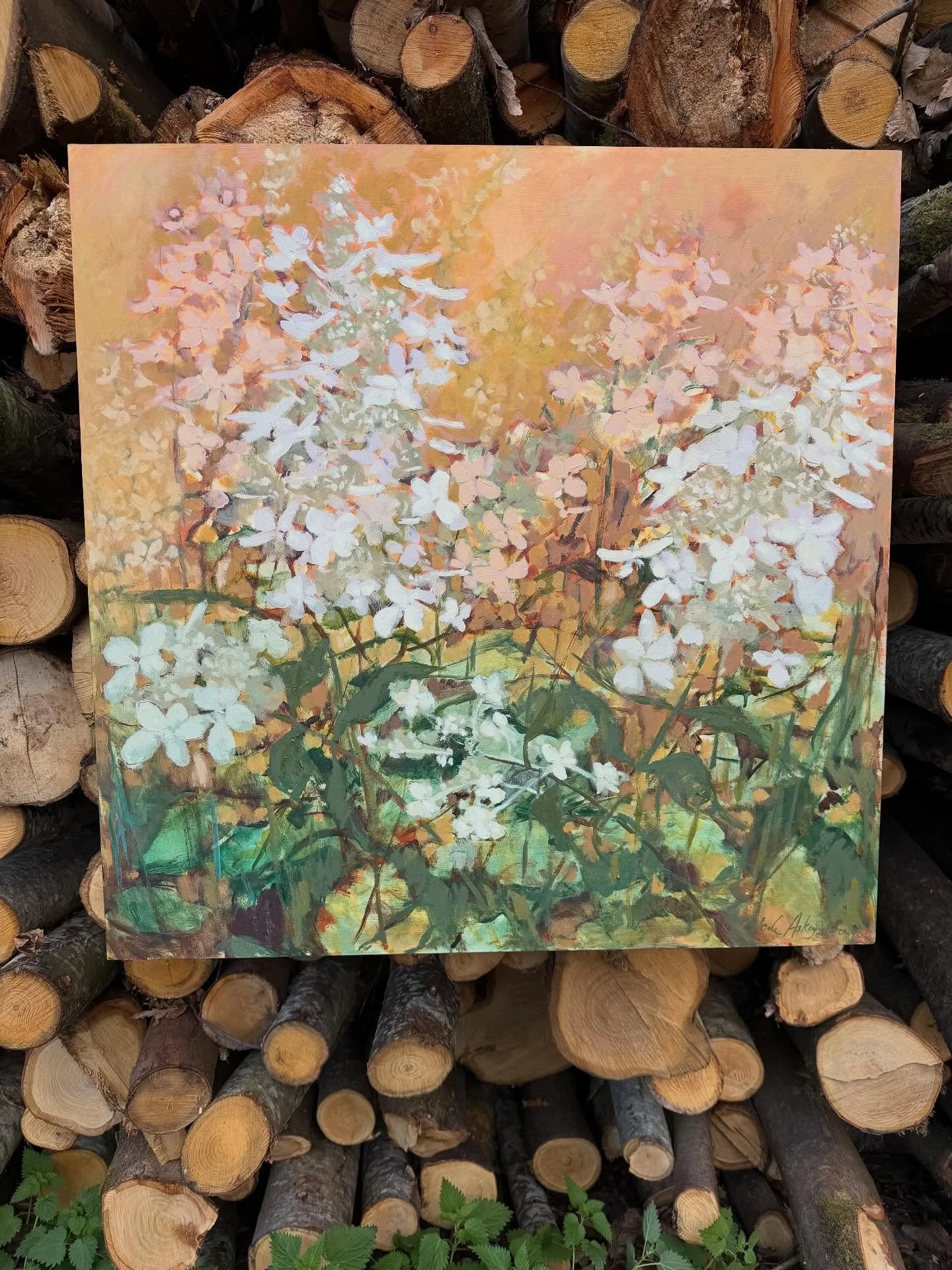 Hydrangea paniculata

Looking forward to showing this painting @cranbrookartshow

Thursday 6th November  10am - 5pm
Friday 7th November  10am - 7pm
Saturday 8th November  10am - 5pm

Vestry Hall, Cranbrook

#judeaskeybrown