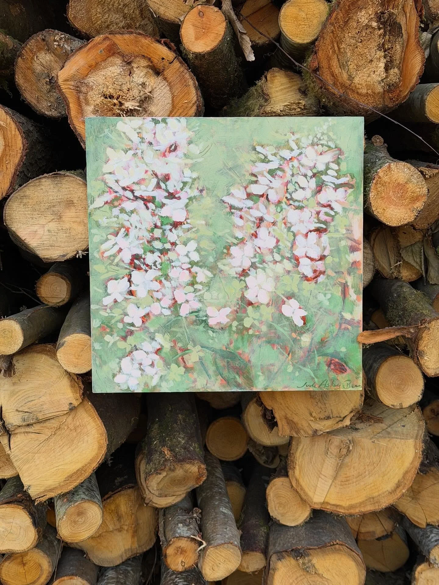 Cranbrook Art Show not long now the countdown begins!
@cranbrookartshow 
#judeaskeybrown