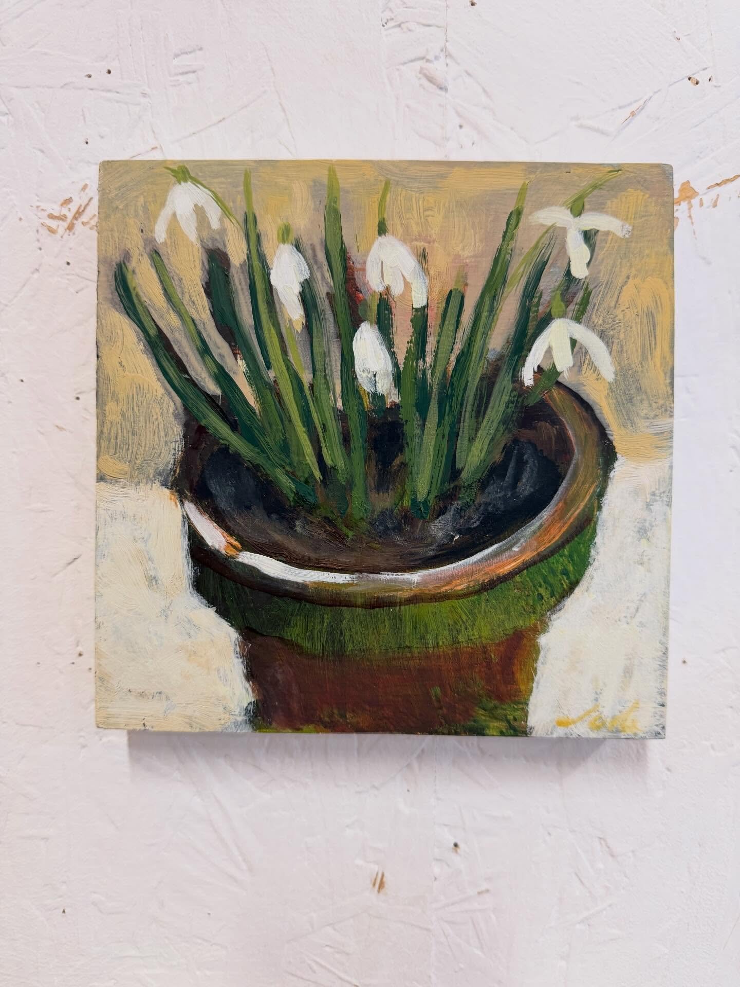 First snowdrops&hellip; what a joy ☺️
#snowdrops #firstsnowdrop #judeaskeybrown #oilpainting