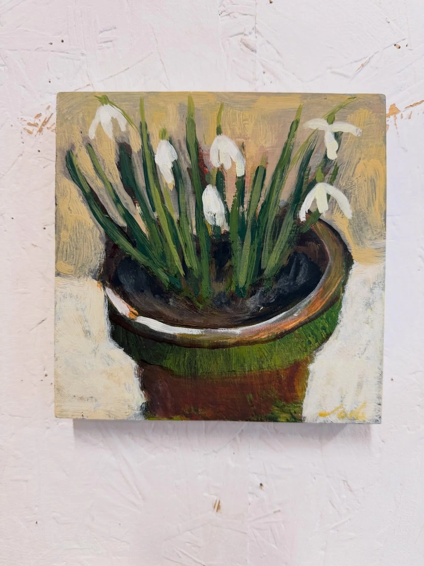 First snowdrops&hellip; what a joy ☺️
#snowdrops #firstsnowdrop #judeaskeybrown #oilpainting