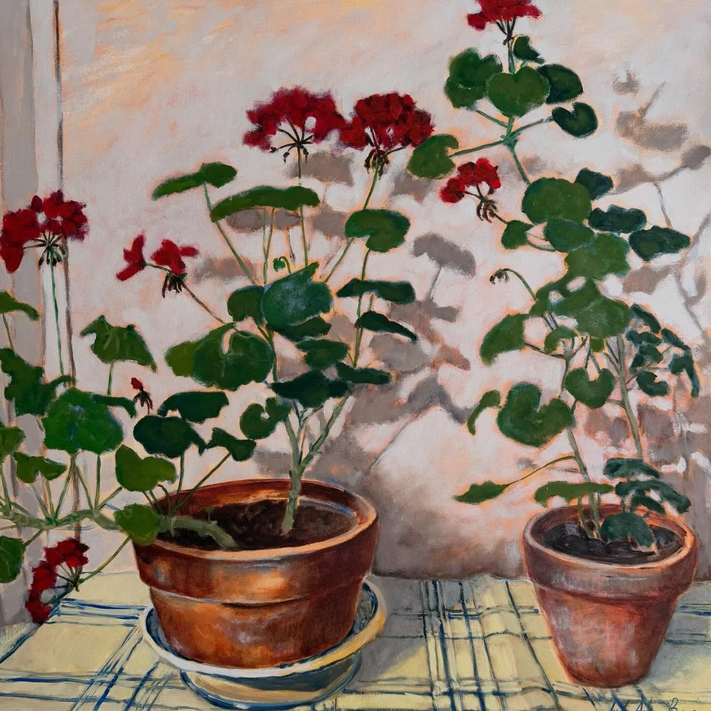 I love an old terracotta pot, these were from my Grandparents greenhouse and were always full of geraniums. The cloth I picked up in a brocante and so I named this one &lsquo;French geranium&rsquo;, 80cm x 80cm, oil on canvas.

#judeaskeybrown #frenc