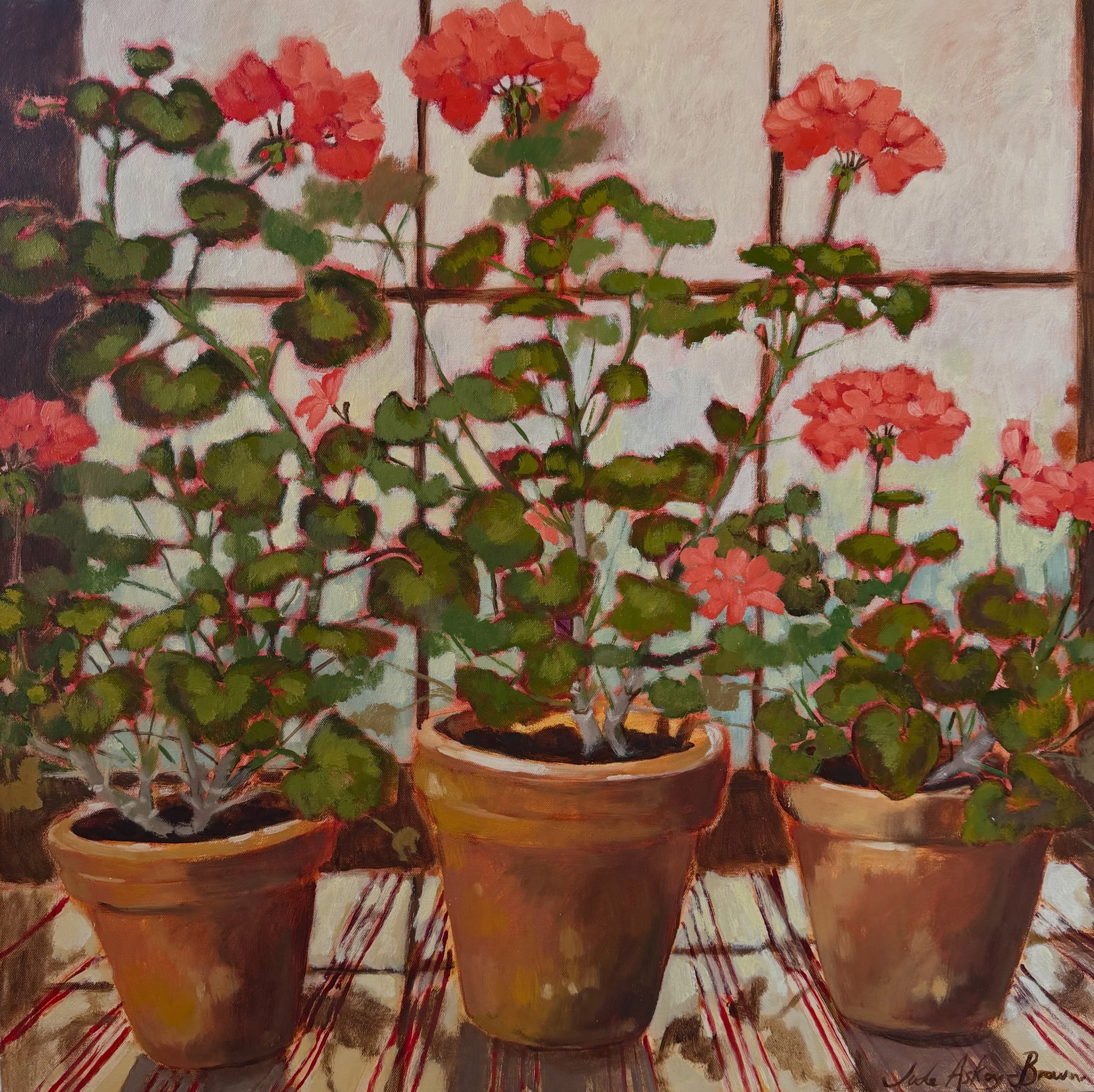&lsquo;Summer window&rsquo;
Oil on canvas
80cm x 80cm

Finished this one in my very hot and sticky studio today. 

#judeaskeybrown #pelargonium #oilpaintingoncanvas #geranium #pelargoniumsofinstagram