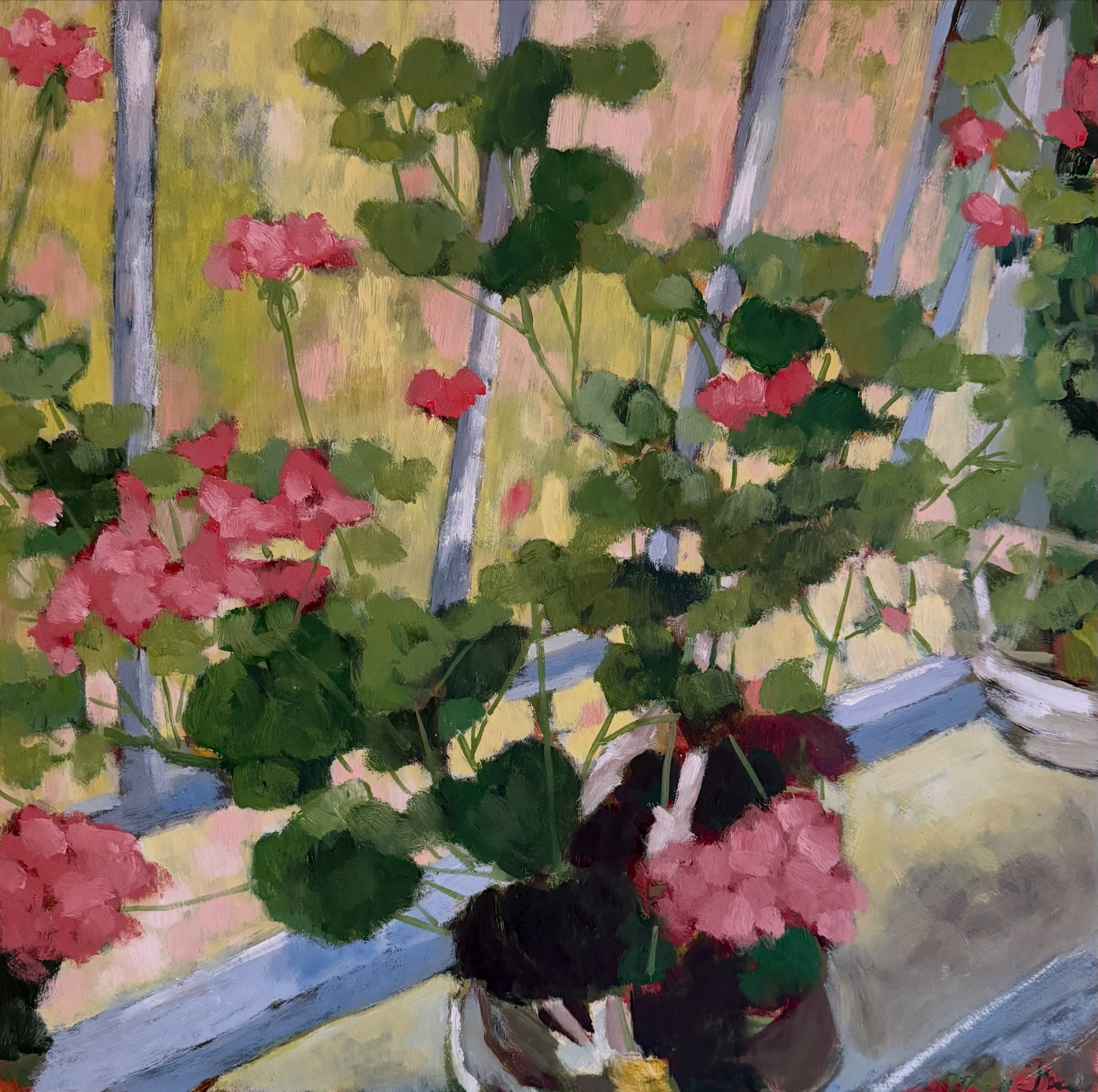 &lsquo;Pink Pelargoniums&rsquo;
Oil on cradled board 
50 x 50cm

This painting was inspired by my recent visit to Perch Hill, Sarah has a lovely greenhouse where you can sit with tea and cake, the sills are full of pellies and look amazing. It&rsquo;