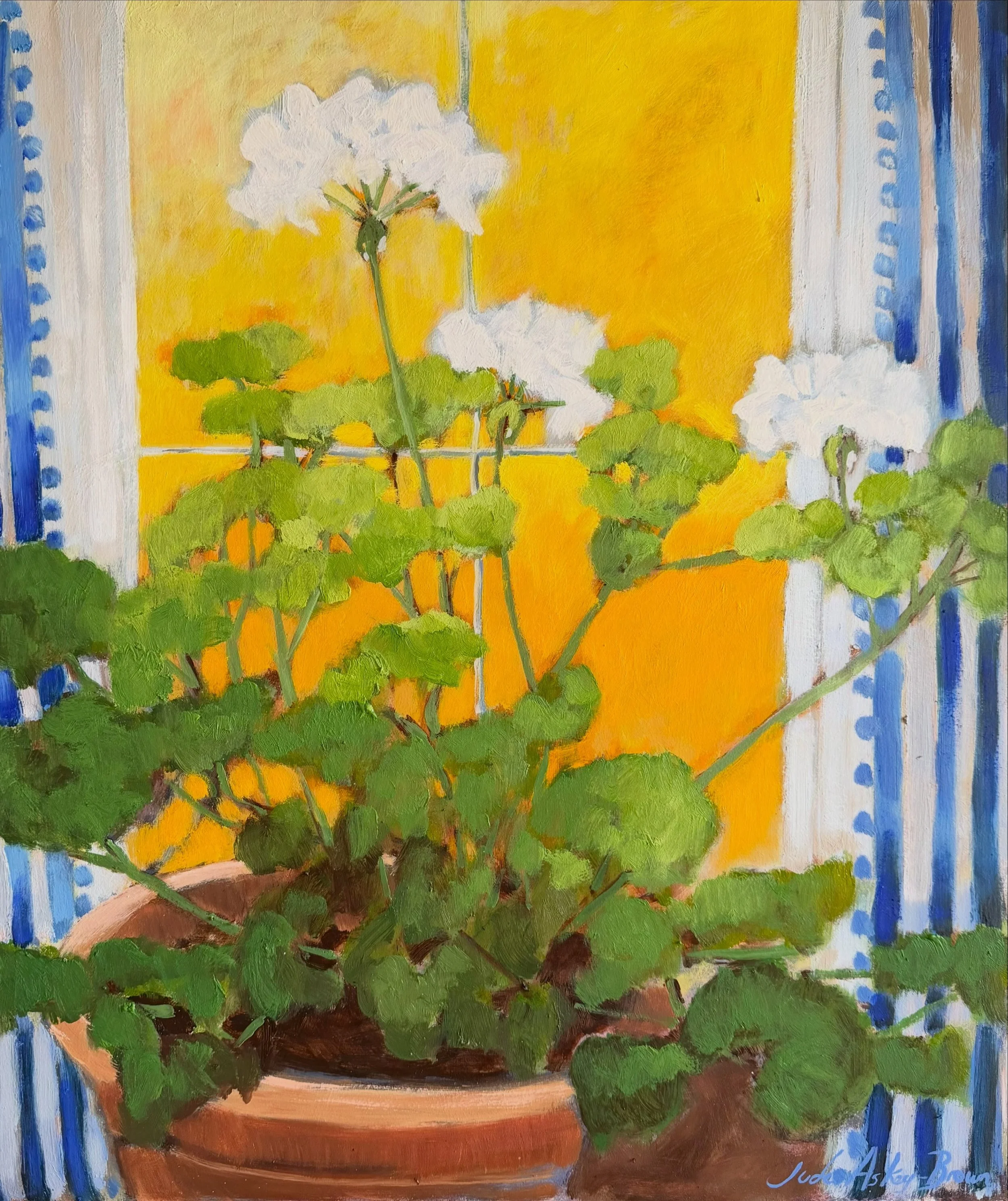 &lsquo;Sunset stripe&rsquo;
Oil on board 
55 x 65cm
 
Memories of this years summer. It will soon be time to put my pellies inside or undercover to keep them flowering through the Autumn and into the Winter. Every windowsill will be crammed full of p