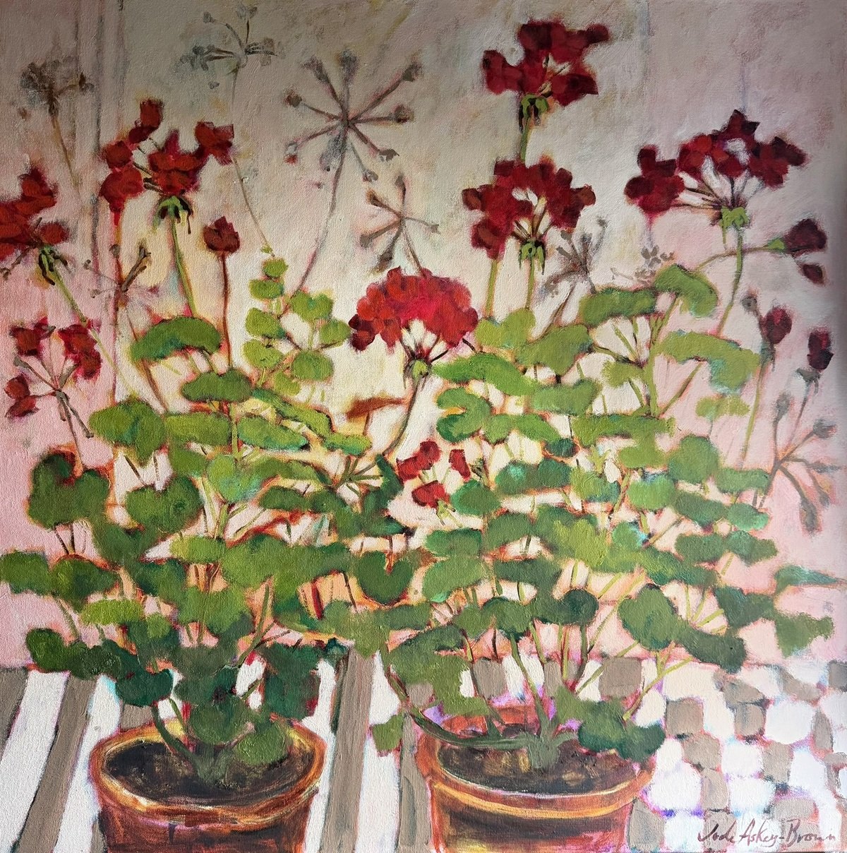 Pelargonium stripe SOLD
