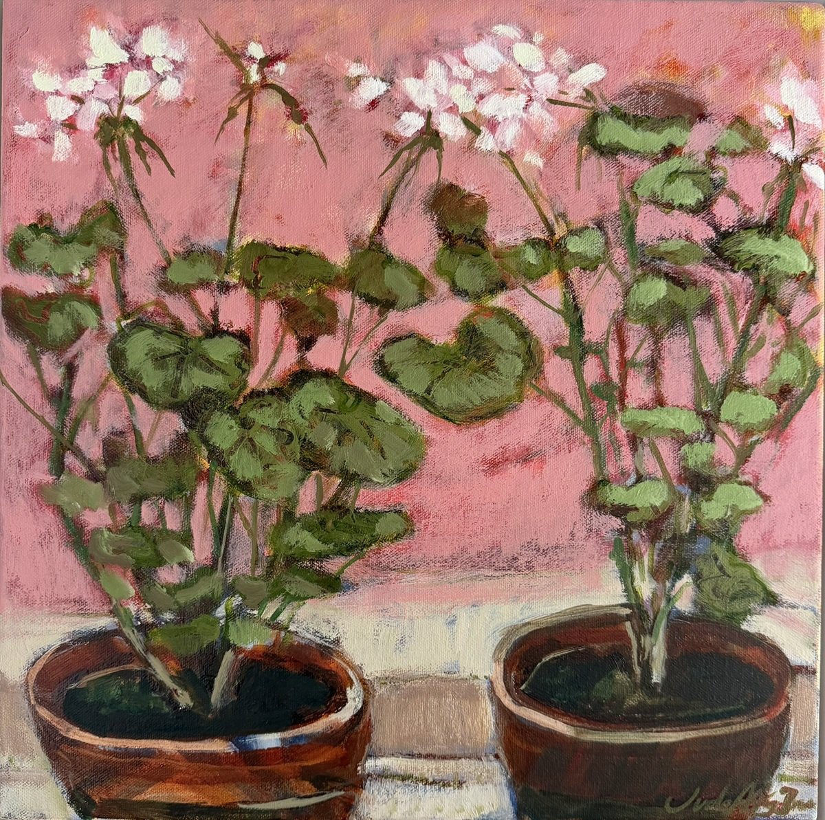 White Geranium SOLD