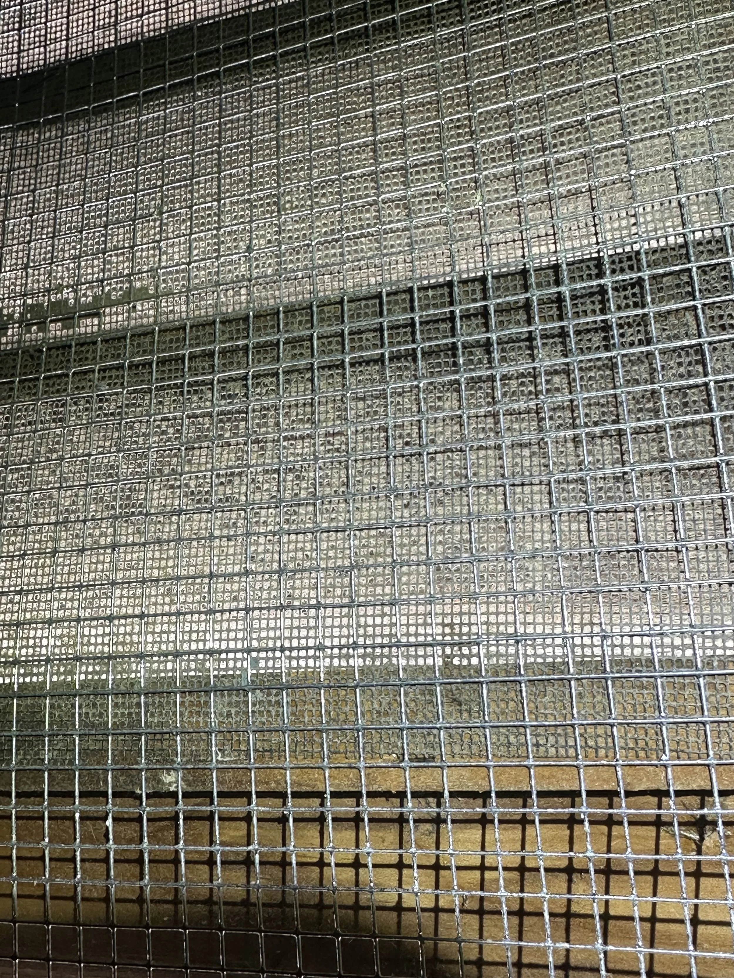 Exclusion repair work to prevent squirrel re-entry