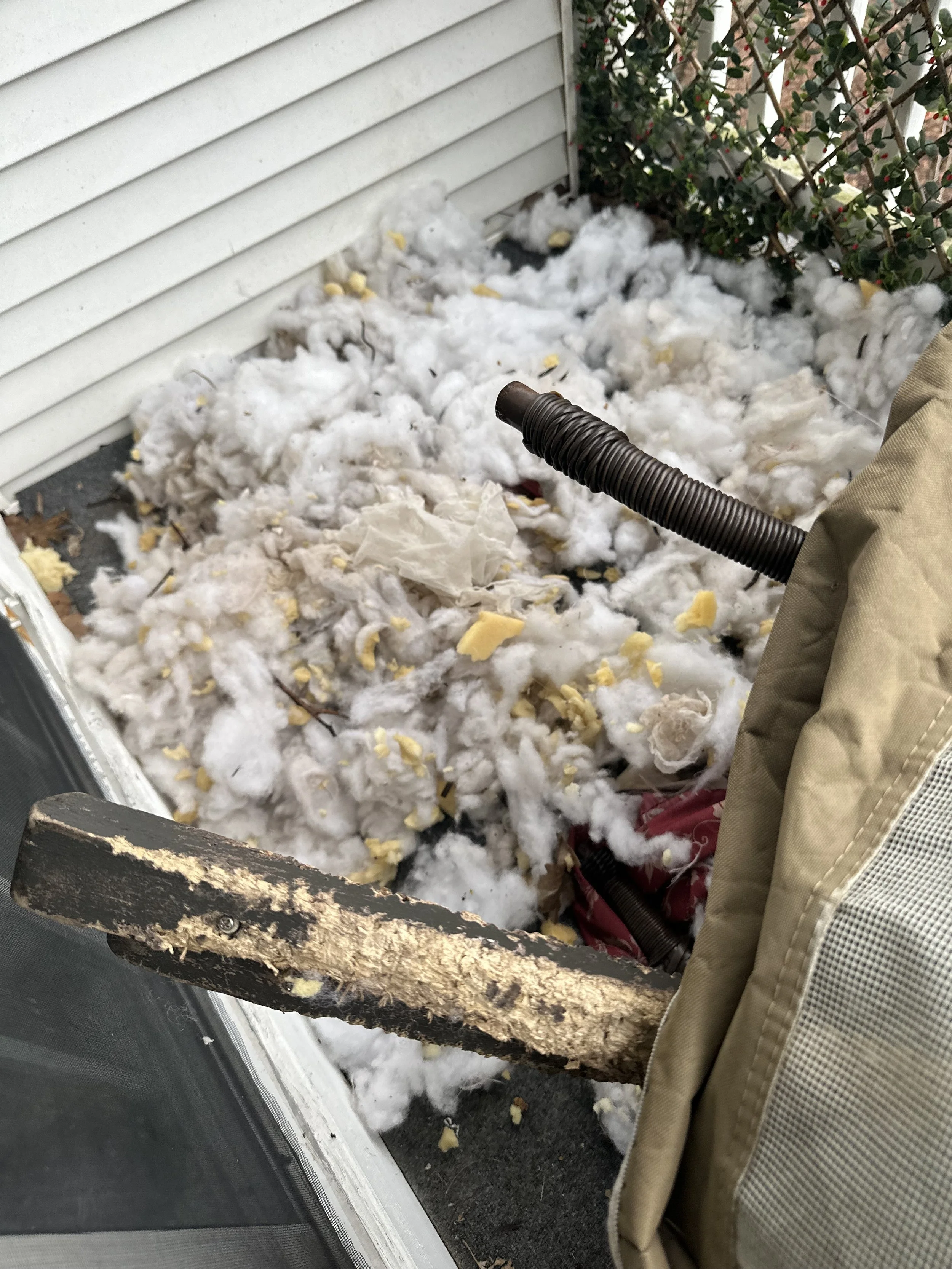 Exclusion repair work to prevent raccoon re-entry