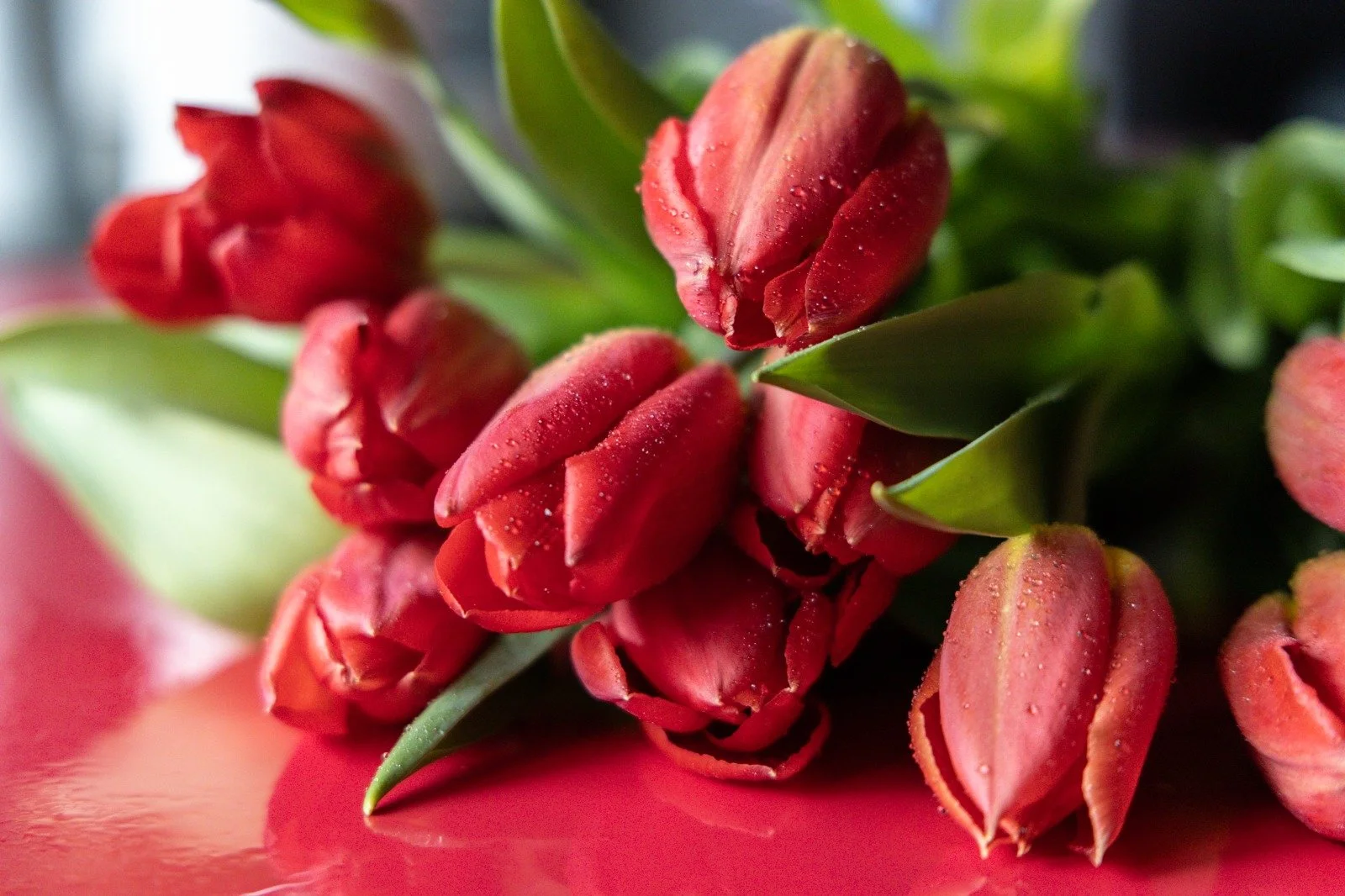 Abitare l’Estate – Dalla radice al gesto (Residenziale di Centroterra – Ascoltare l’Antico Richiamo)