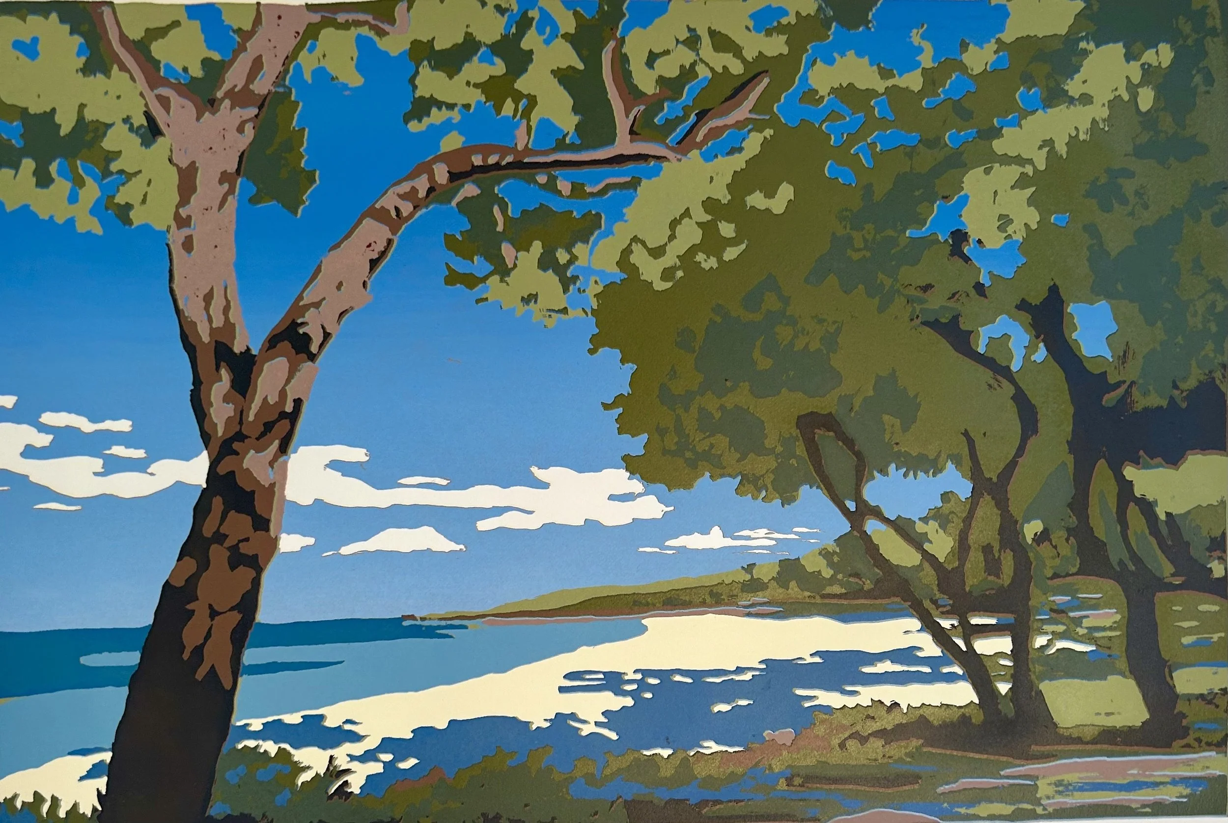 Afternoons at Meelup (2), original sreenprint on paper