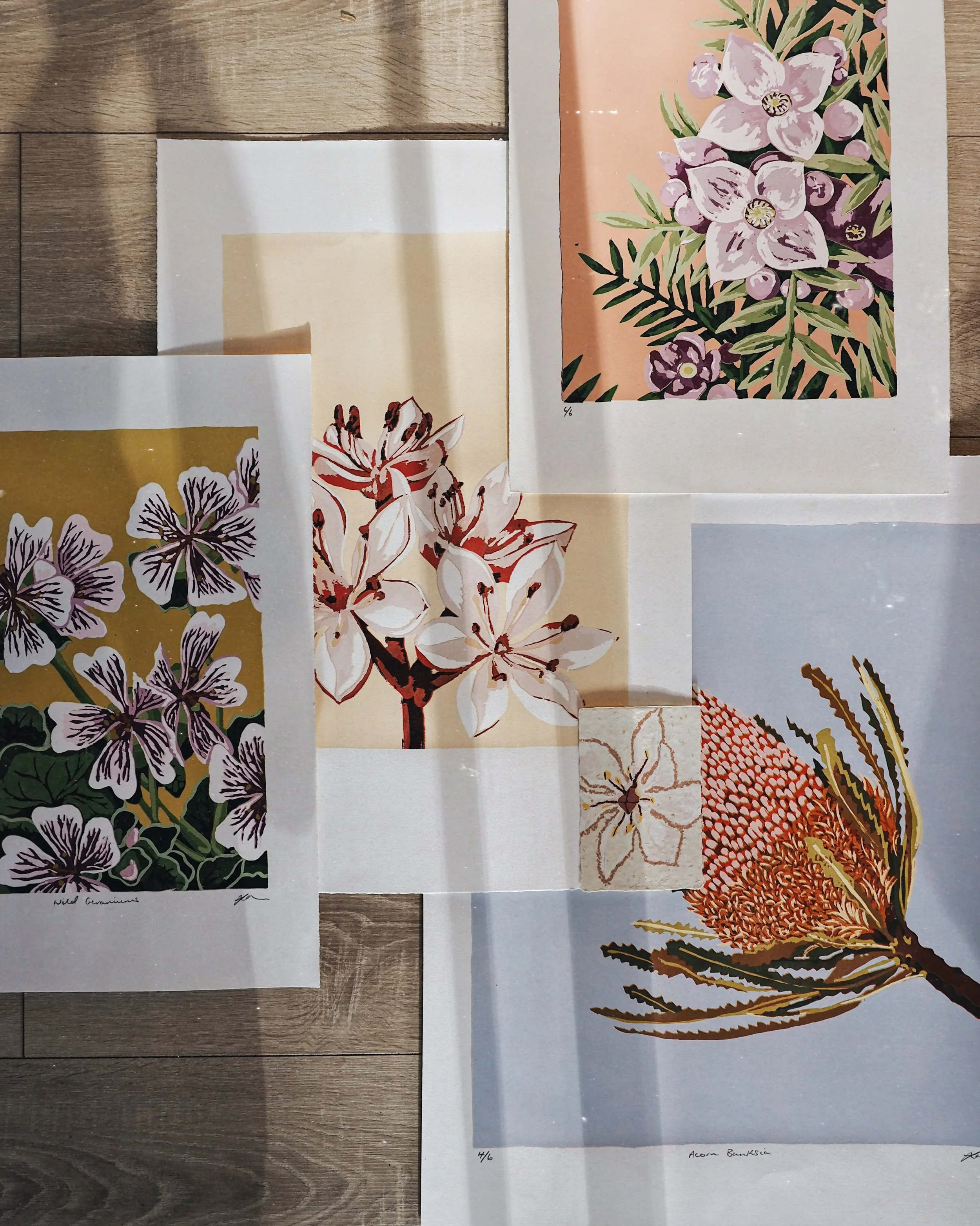 Jess McKiernan.Wild Flower Series.2025. Screenprints on paper.various sizes.jpg