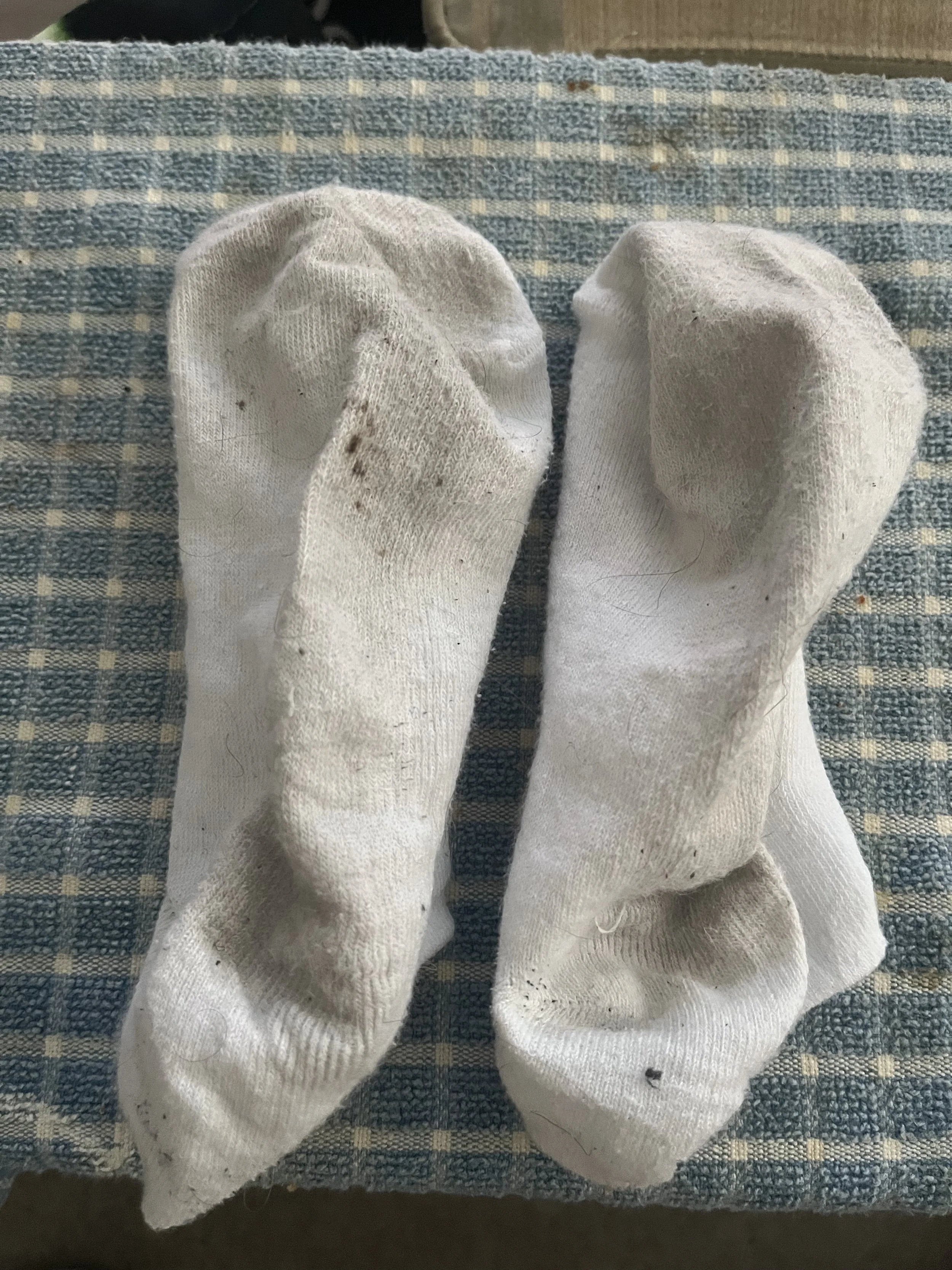 Paolo7619’s Smelly Socks