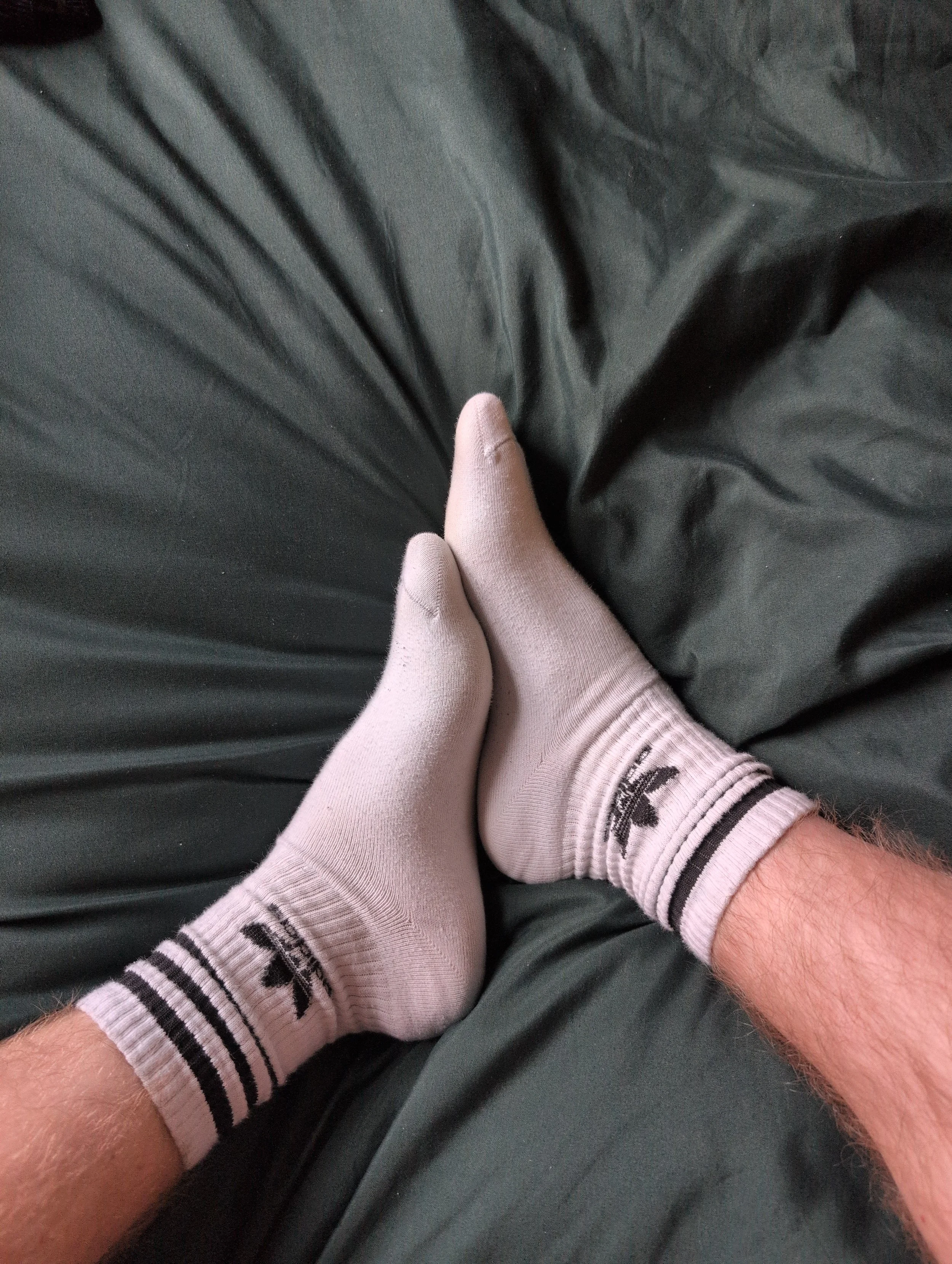 WelshOtter's Adidas socks