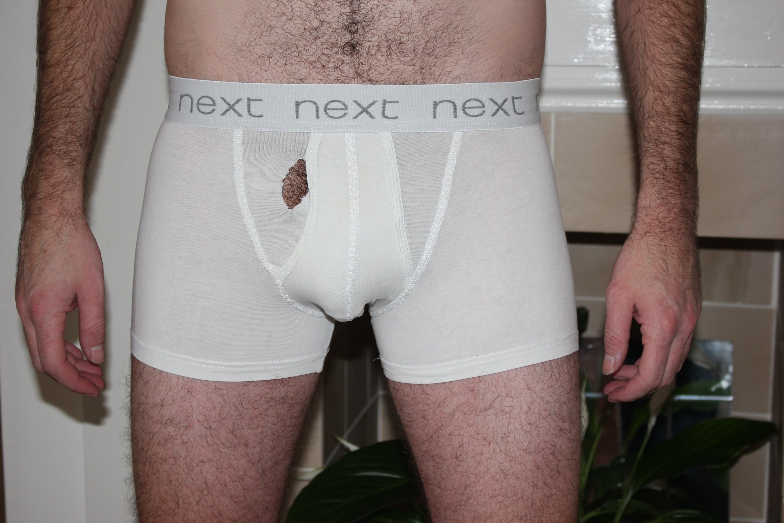 Ed's Next Boxers — Mens Used Underwear