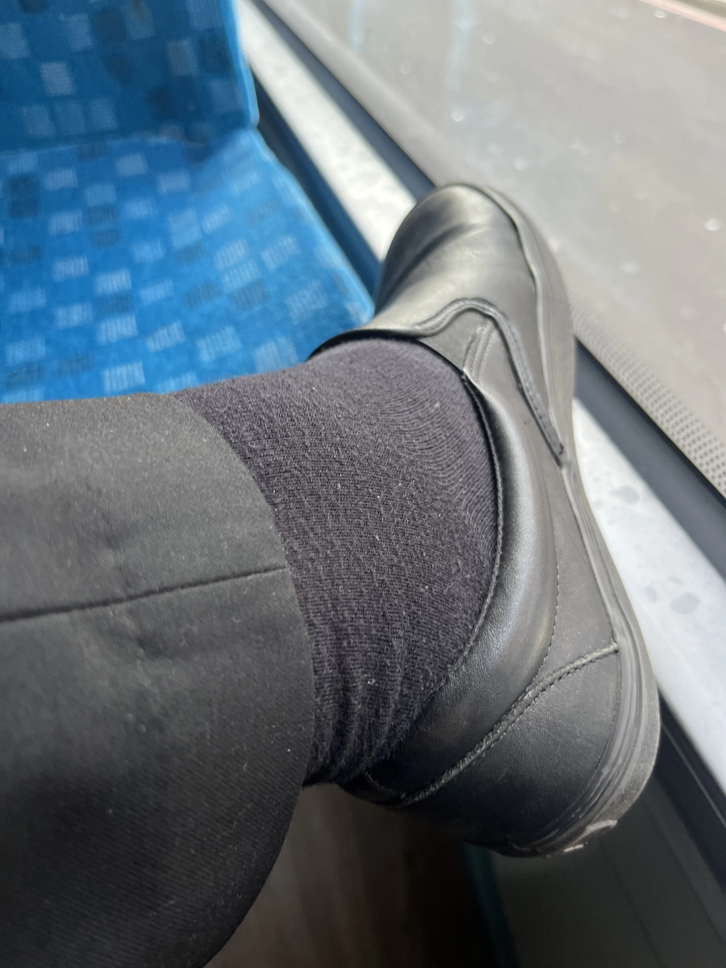 IMG_9288.jpeg