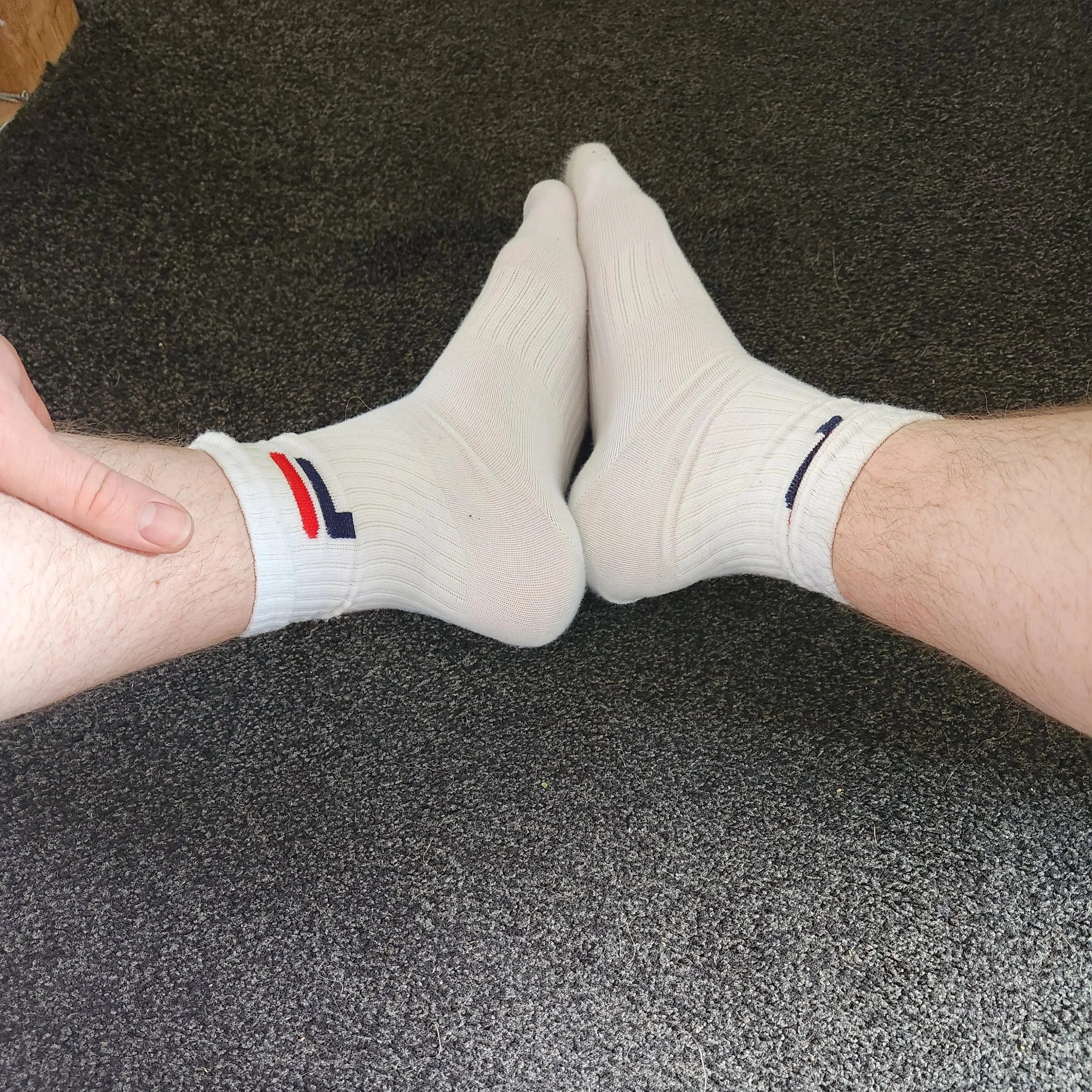 20260529_120331.jpg