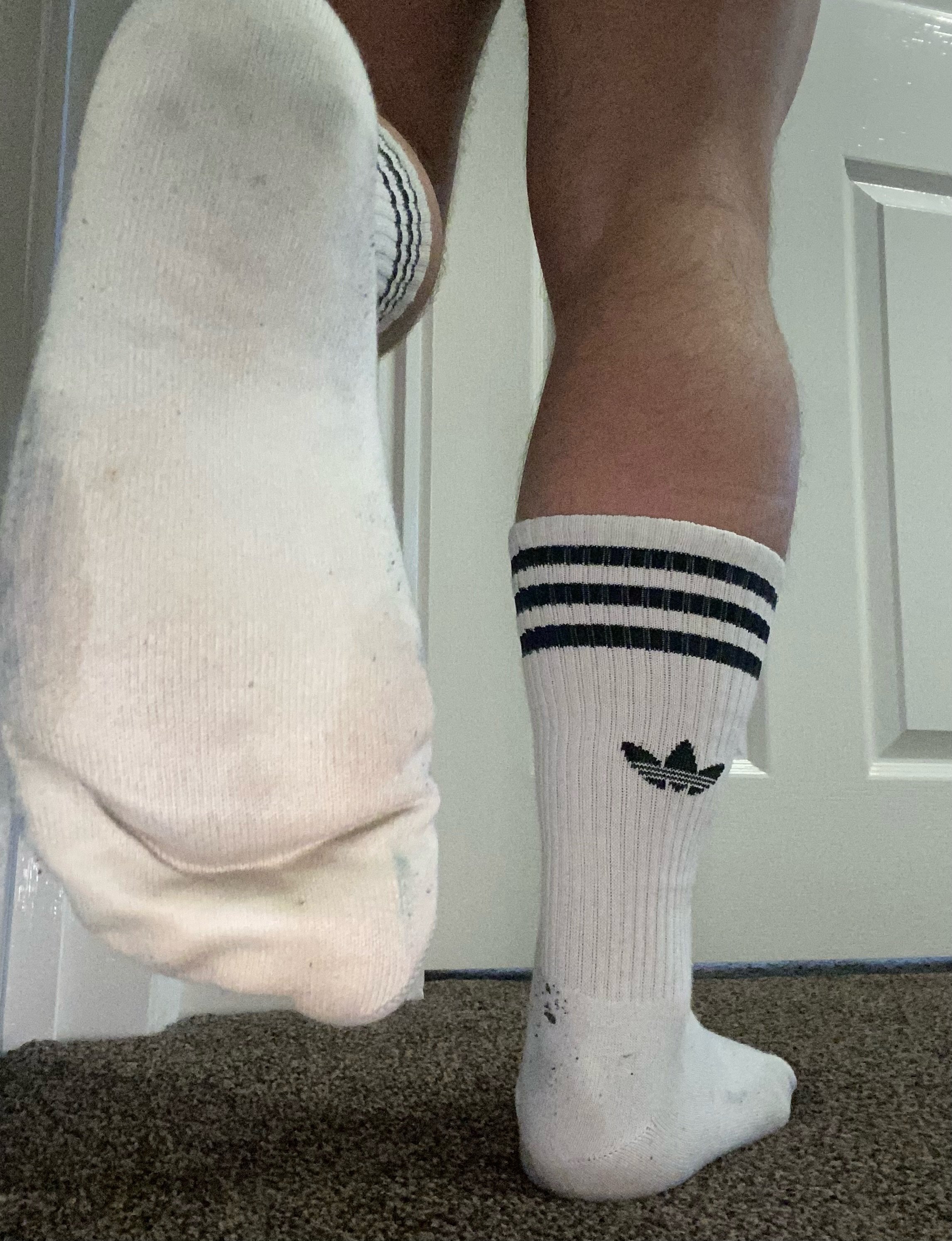 image2.jpeg